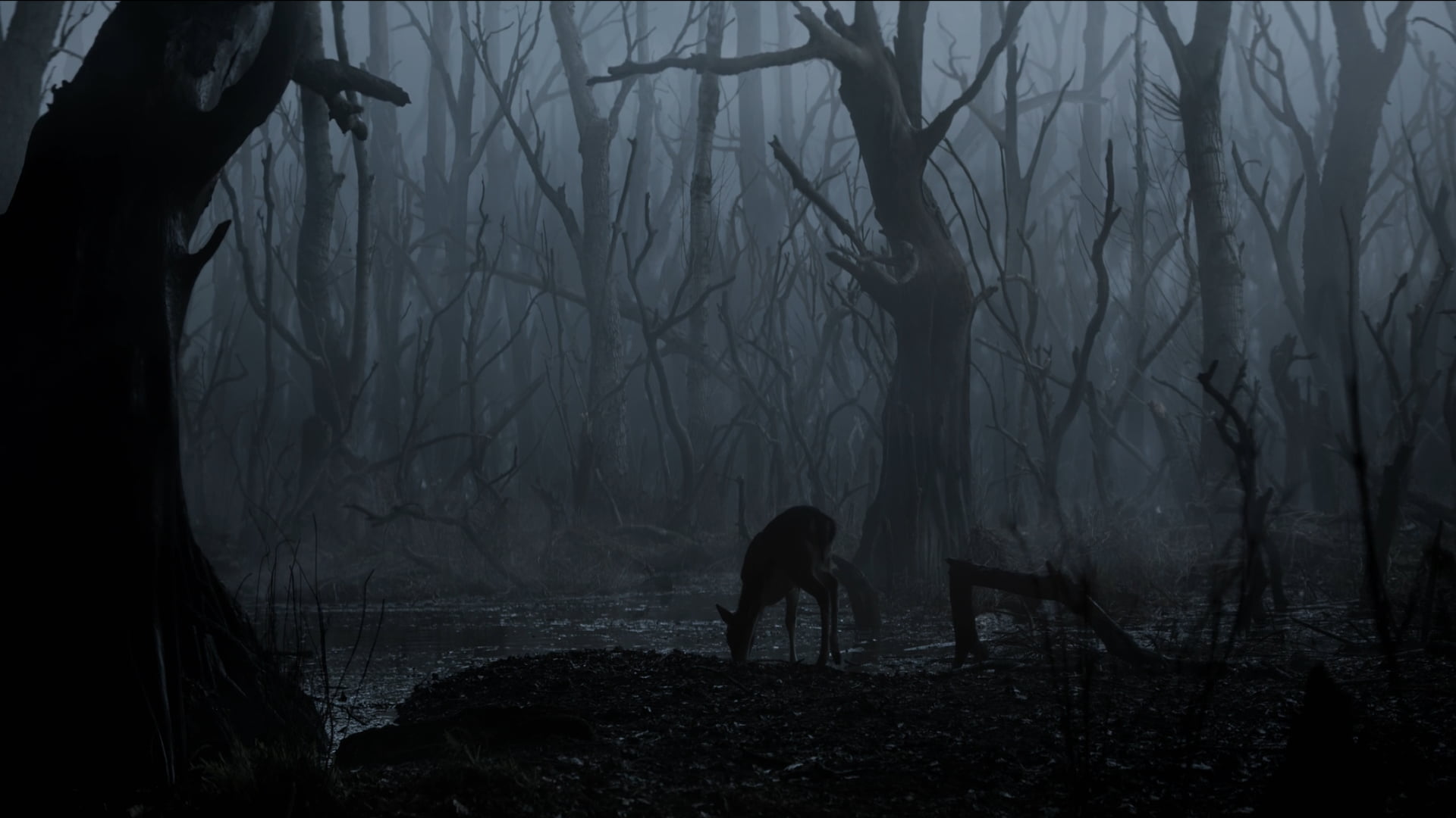 1080P, nature, The Witcher (TV Series), HD Wallpaper