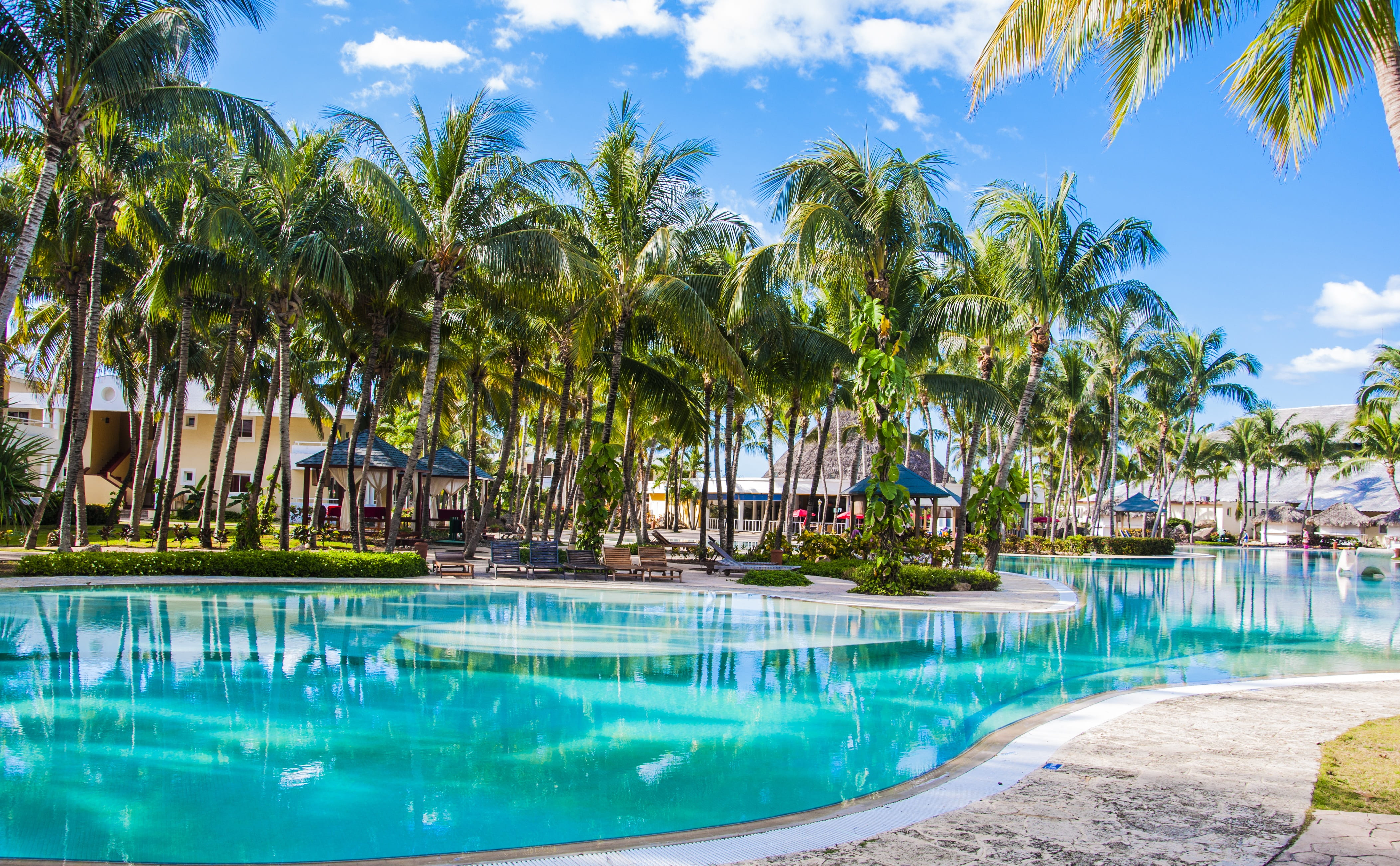 no people, sky, ease, resort, vacations, luxury, swimming pool, turquoise colored, trip, plant, tropical climate, holiday, coconut palm tree, summer, white, HD Wallpaper