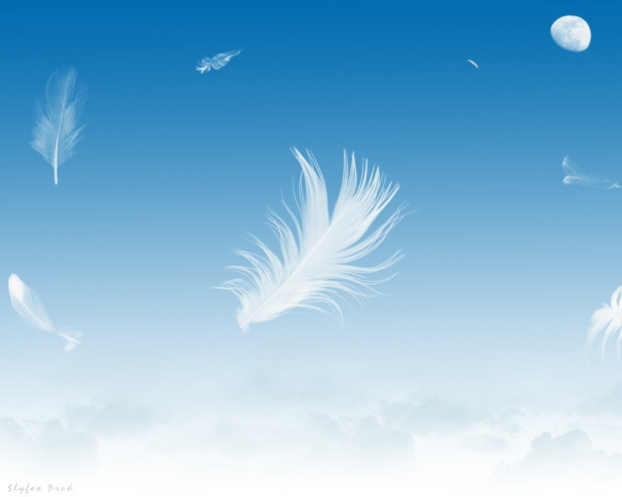 beauty in nature, cloudscape, animal Wing, mid-air, 720P, sky, nature, close-up, fluffy, bird, the sky, outdoors, pen, scenics - nature, fantasy, white, HD Wallpaper