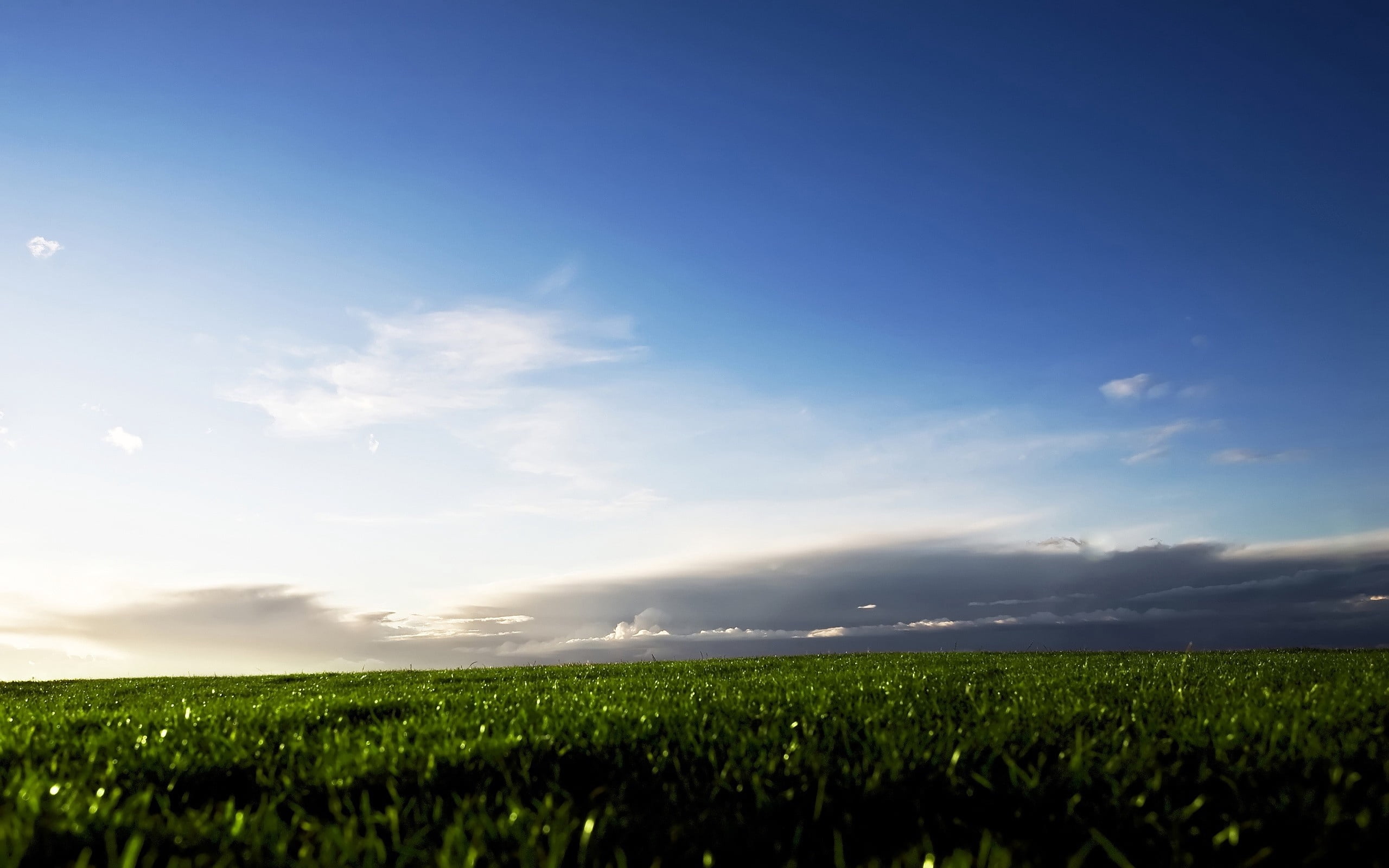 rural Scene, sun, pasture, meadow, plantation, sky, cloud - Sky, plants, nature, sunny, green Color, idyllic, clouds, color Image, land, freshness, vibrant Color, HD Wallpaper