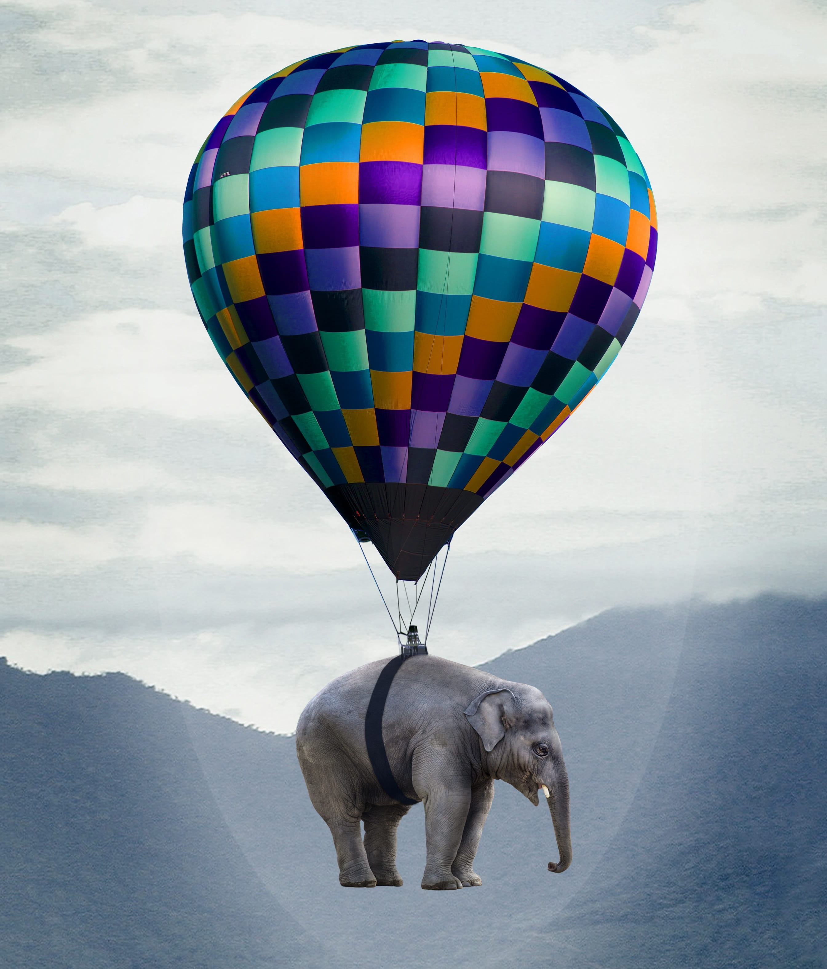 weightless, mammal, cloud - sky, no people, floating, day, domestic animals, sky, captive balloon, elephant, heavyweight, animal, travel, balloon, hot air balloon ride, Phone HD Wallpaper