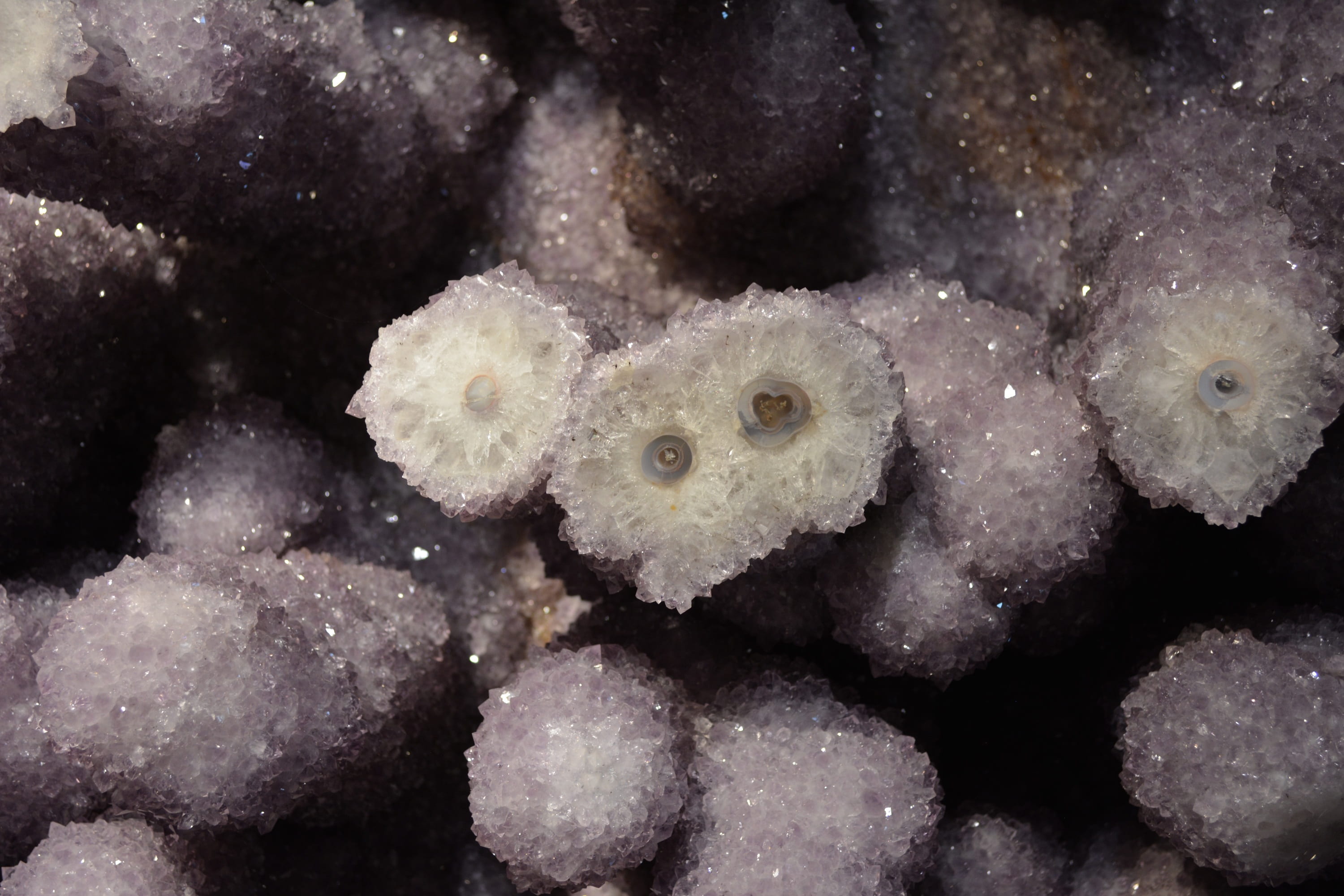eye, geodes, one animal, healing stone, sea, softness, minerals, nature, snow, sea life, quartz, underwater, 2K, mineral, no people, animal, purple, stone, HD Wallpaper