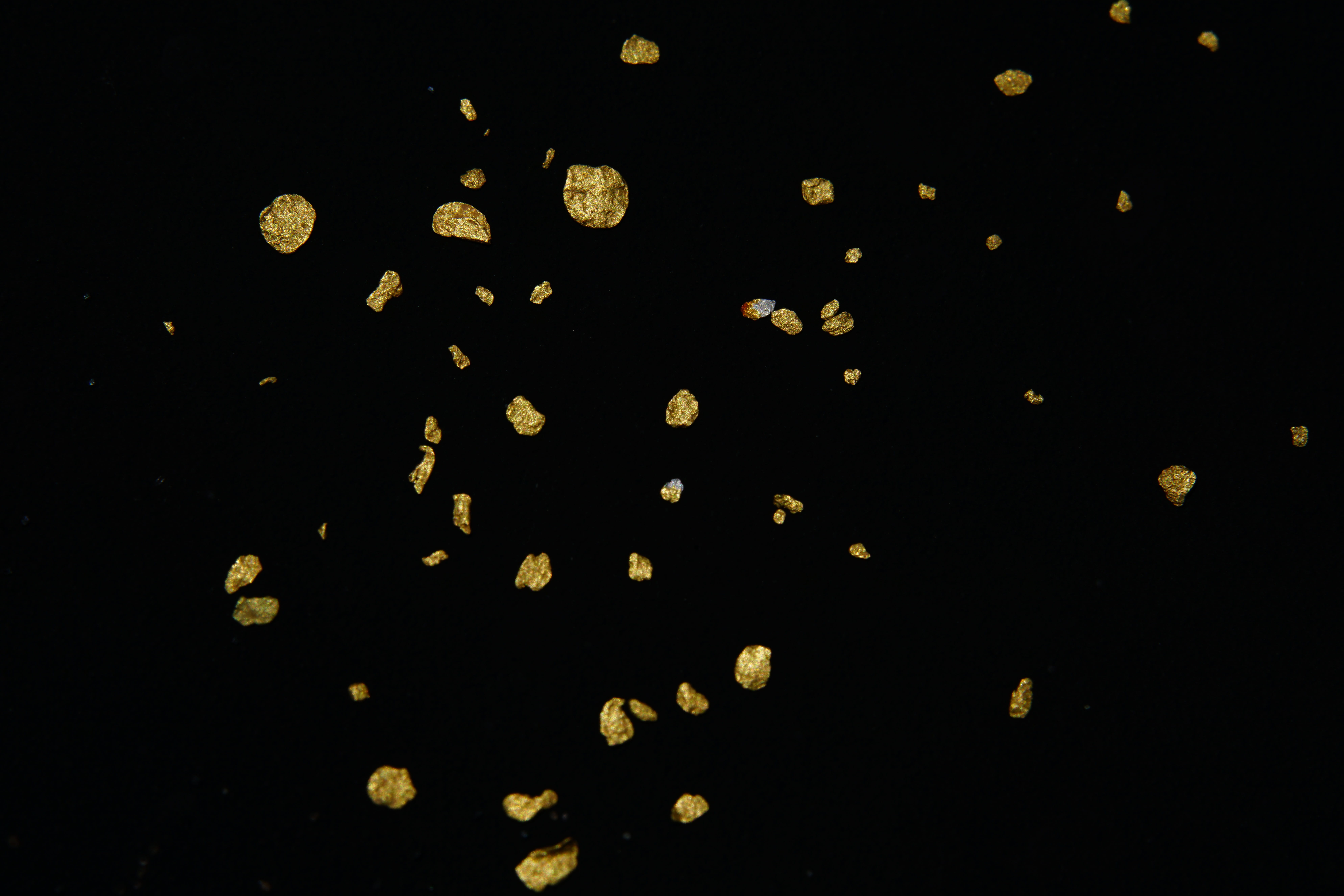 sparkle, 8K, glitter, gold spangle, abstract, large group of objects, bauble, black background, studio shot, valuable, water, gold, outdoors, close-up, HD Wallpaper