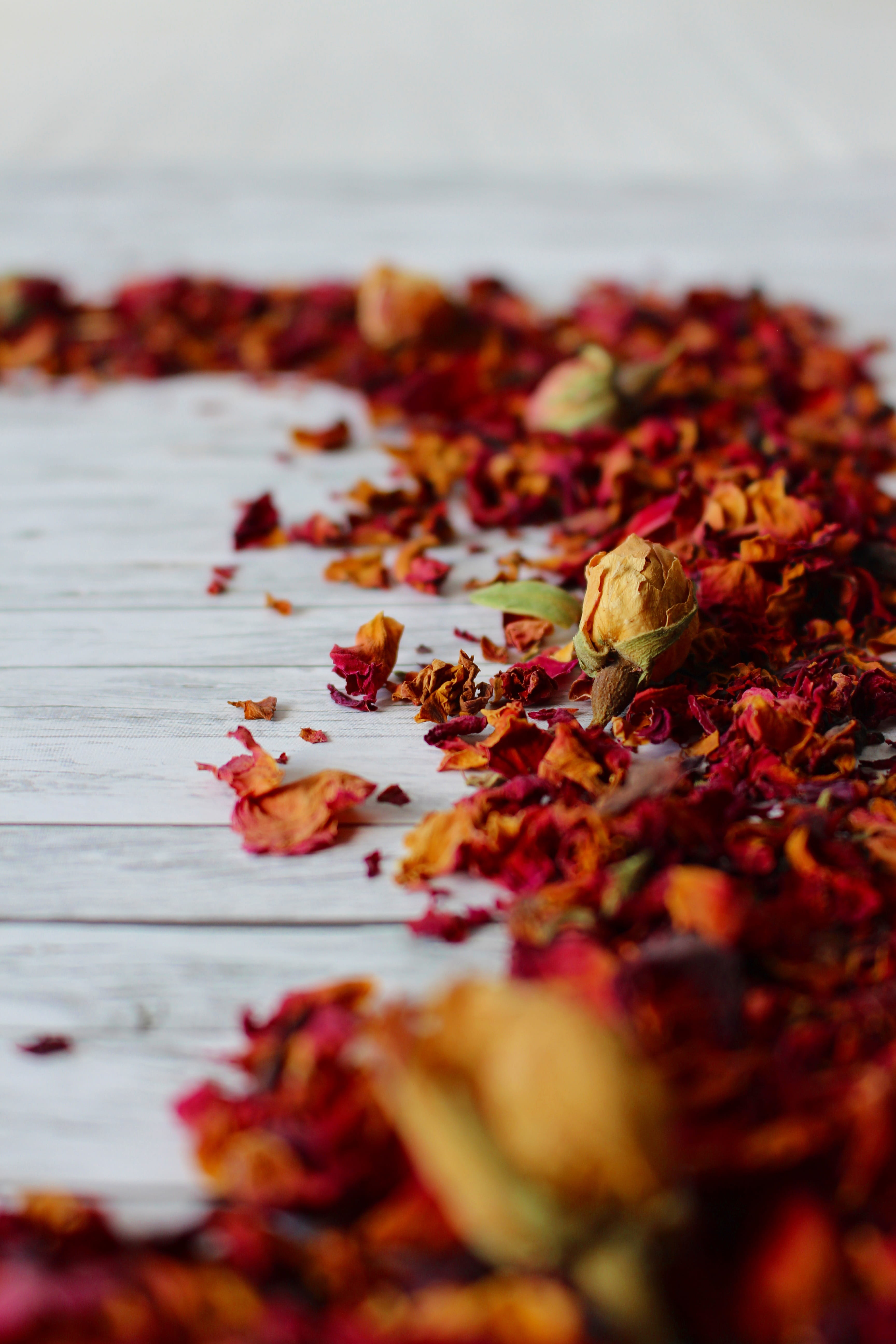 nature, no people, petals, close up, food and drink, straw flowers, flowers, romantic, bloom, day, naturopathy, food, flora, beauty in nature, change, selective focus, Phone HD Wallpaper
