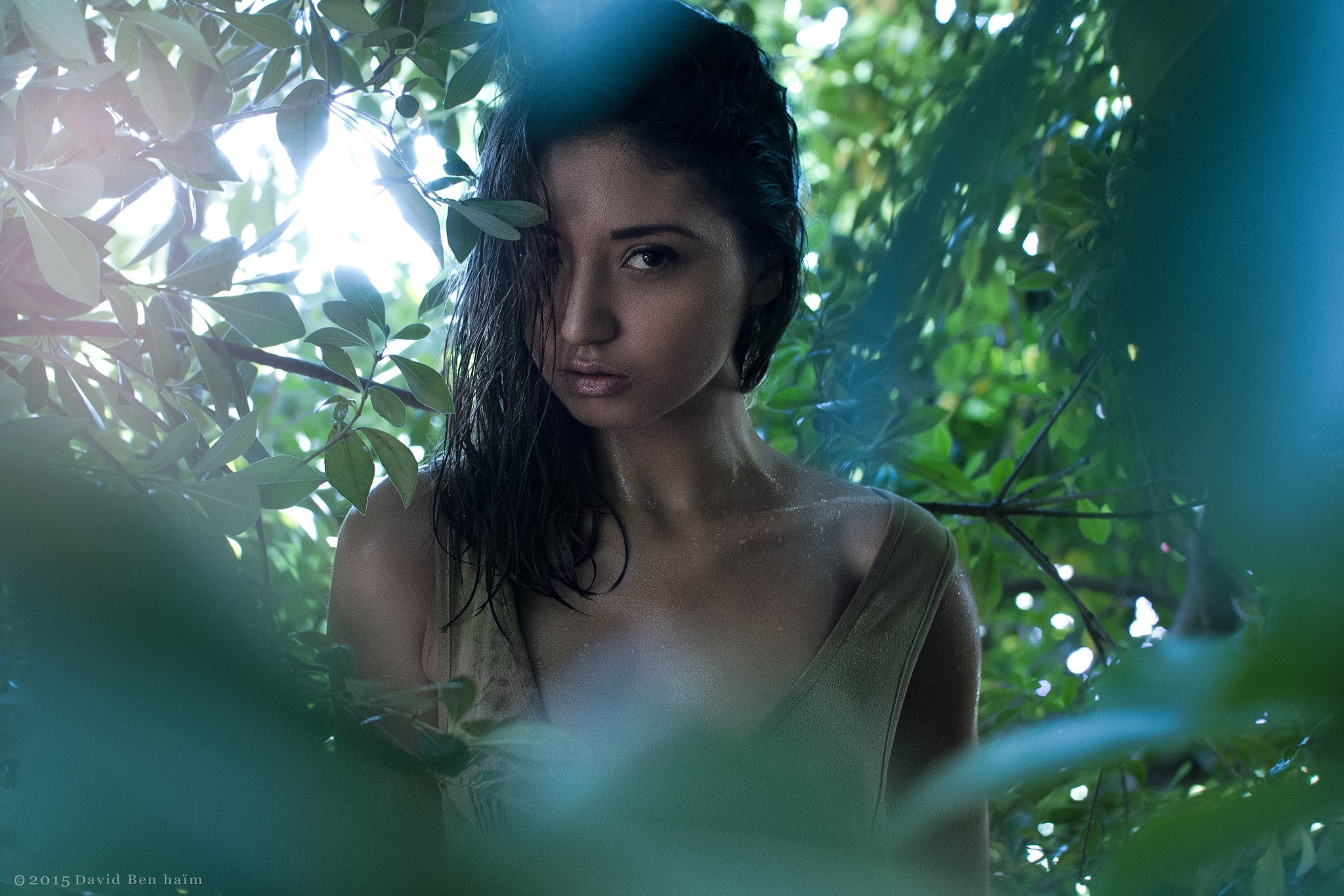 1080P, brunette, women, David Ben Haïm, plants, leaves, face, black hair, HD Wallpaper