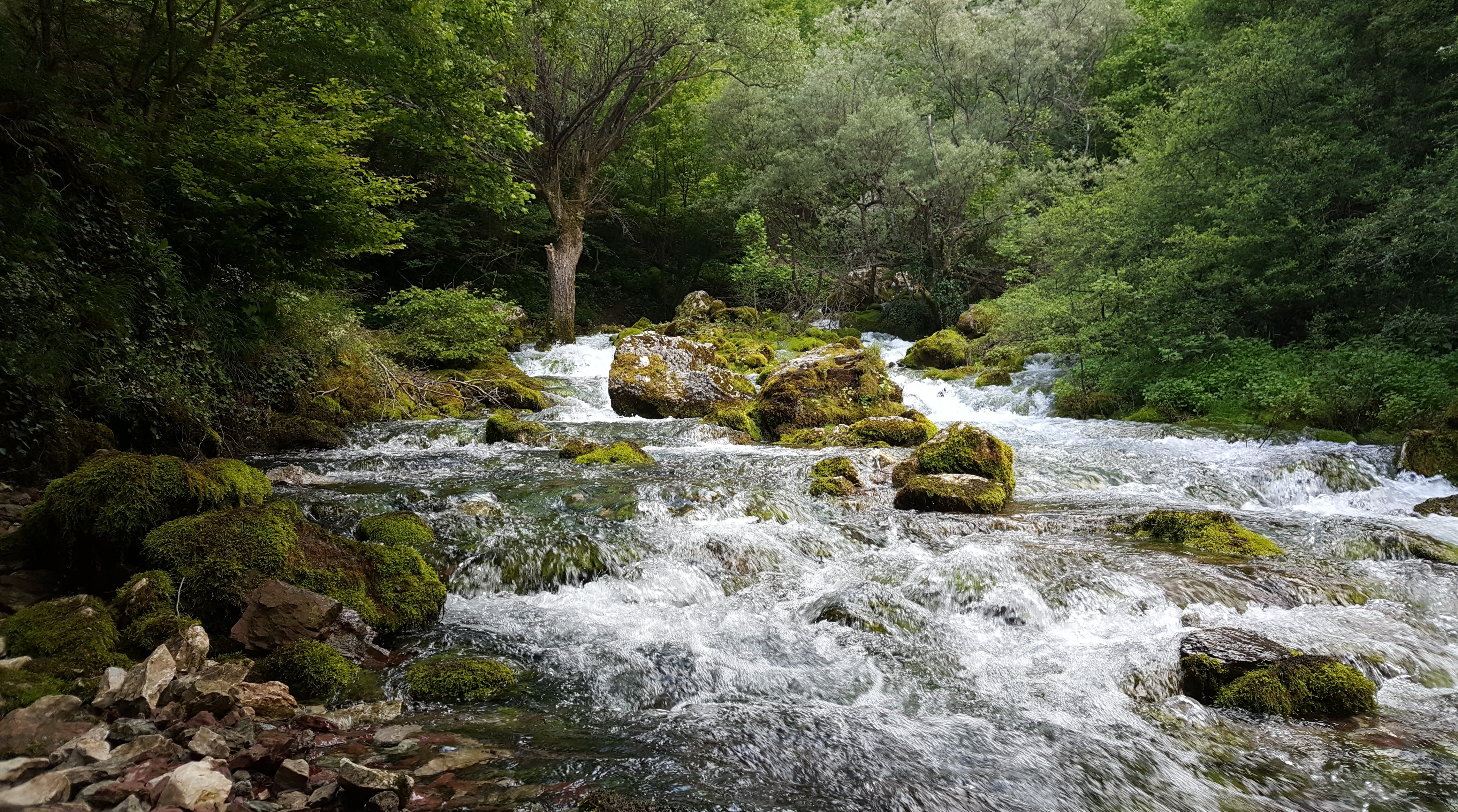 clean, solid, flowing, green, water, 5K, motion, stream - flowing water, kosovo, day, outdoors, green color, flowing water, river, rock, black, forest, HD Wallpaper