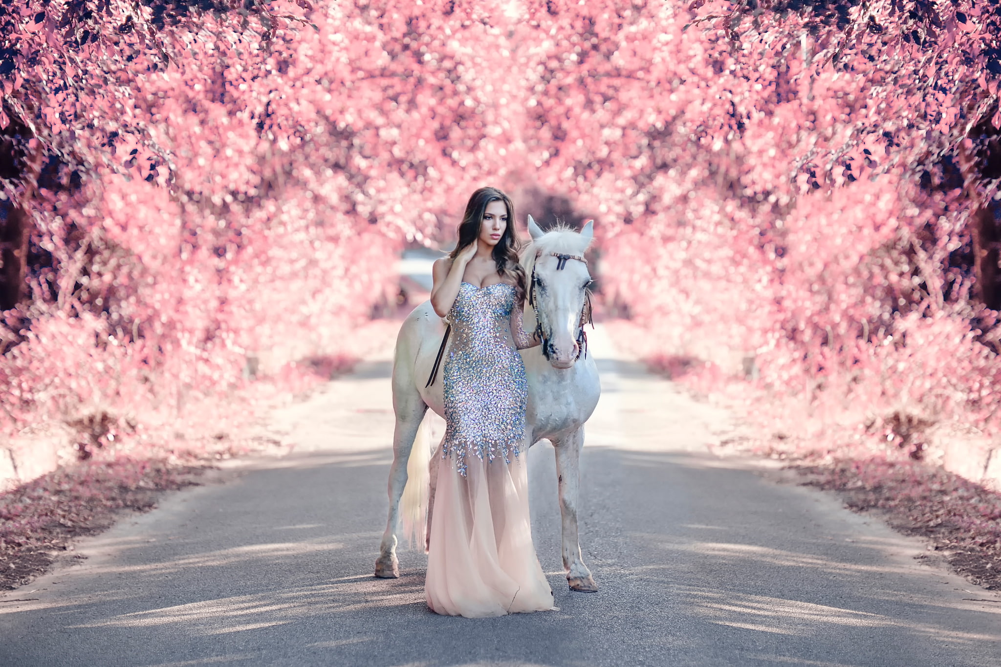 s, women, horse, road, 1080P, dress, girl, gray, My fantasy world, Alessandro Di Cicco, HD Wallpaper