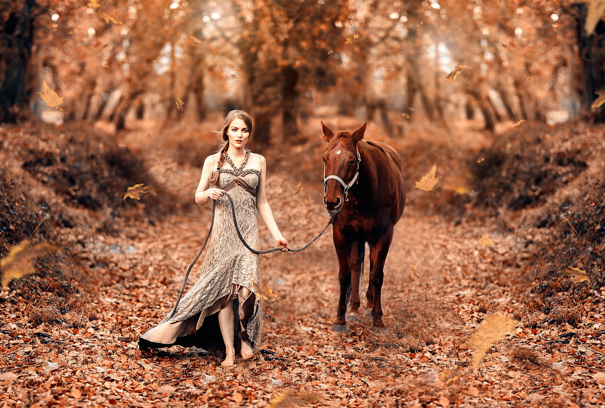 mammal, young adult, horse, Fairy tale, forest, full length, Alessandro Di Cicco, land, leaves, domestic animals, outdoors, fashion, adult, women, hairstyle, HD Wallpaper