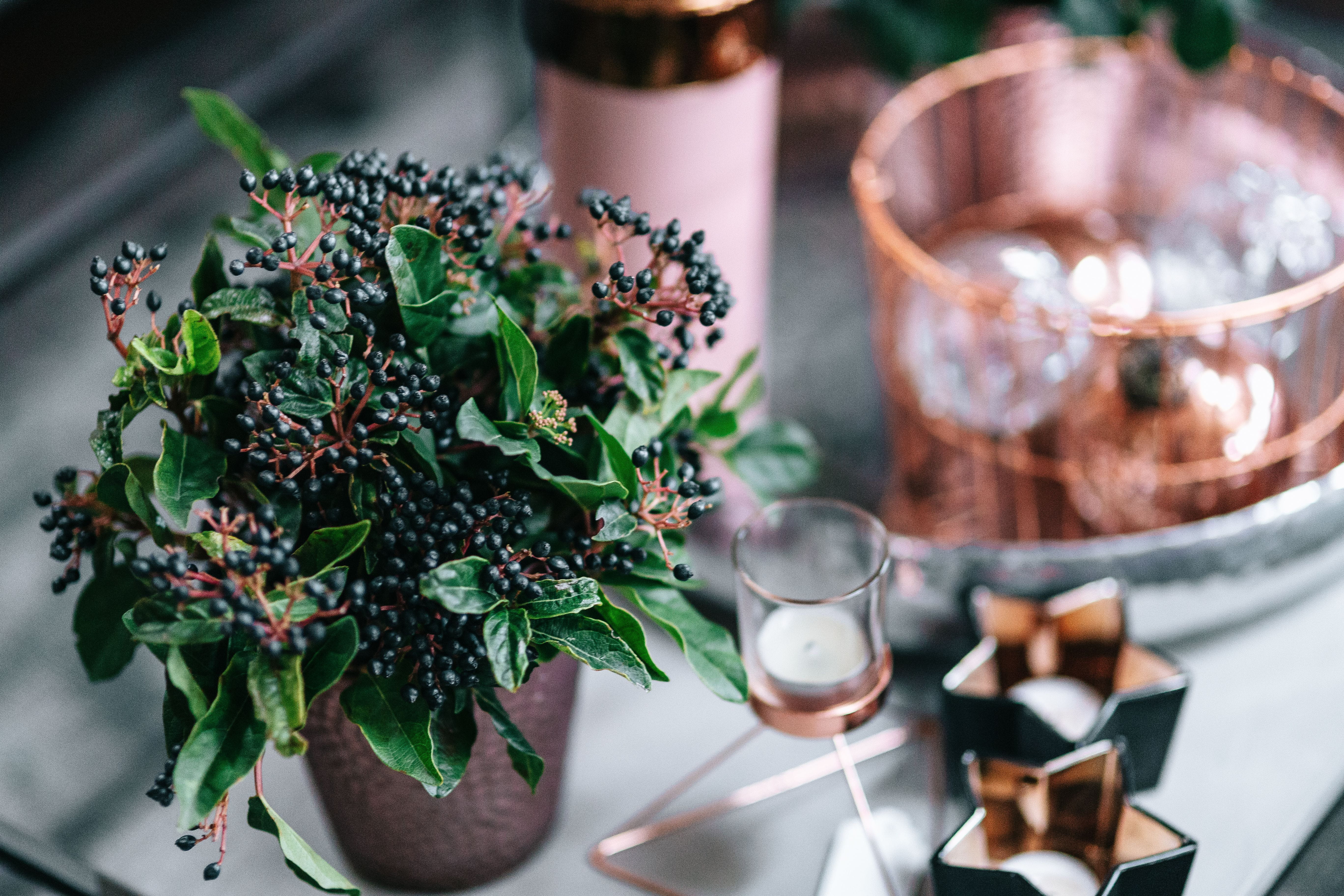 cup, table, coffee, close-up, pink, potted plant, glass, selective focus, indoors, candle, drink, mug, refreshment, 5K, Christmas, decorations, still life, HD Wallpaper