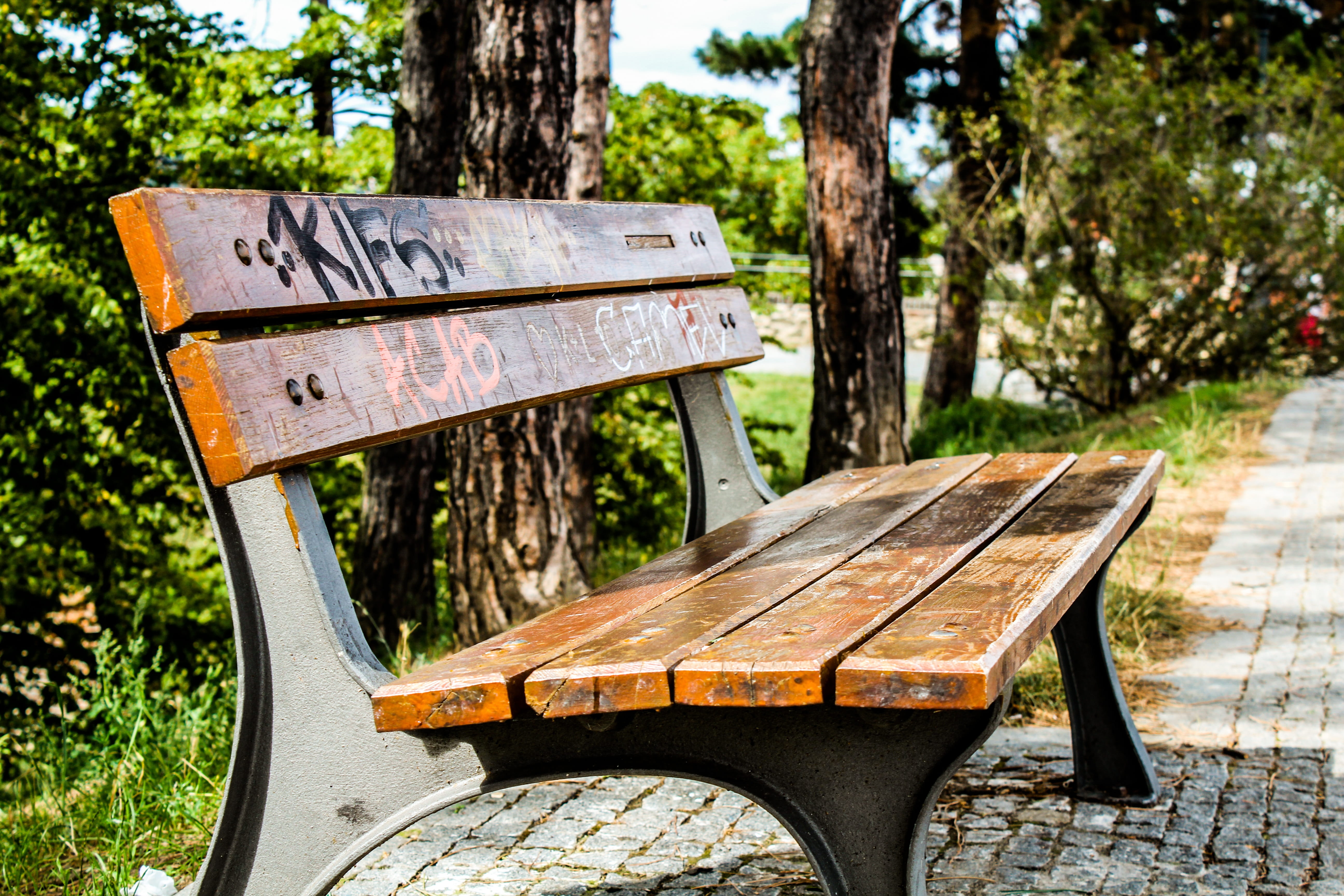focus on foreground, seat, outdoors, wood - material, trunk, park - man made space, absence, Sit, tree, Wood, Prague, text, old, day, rested, park, table, HD Wallpaper
