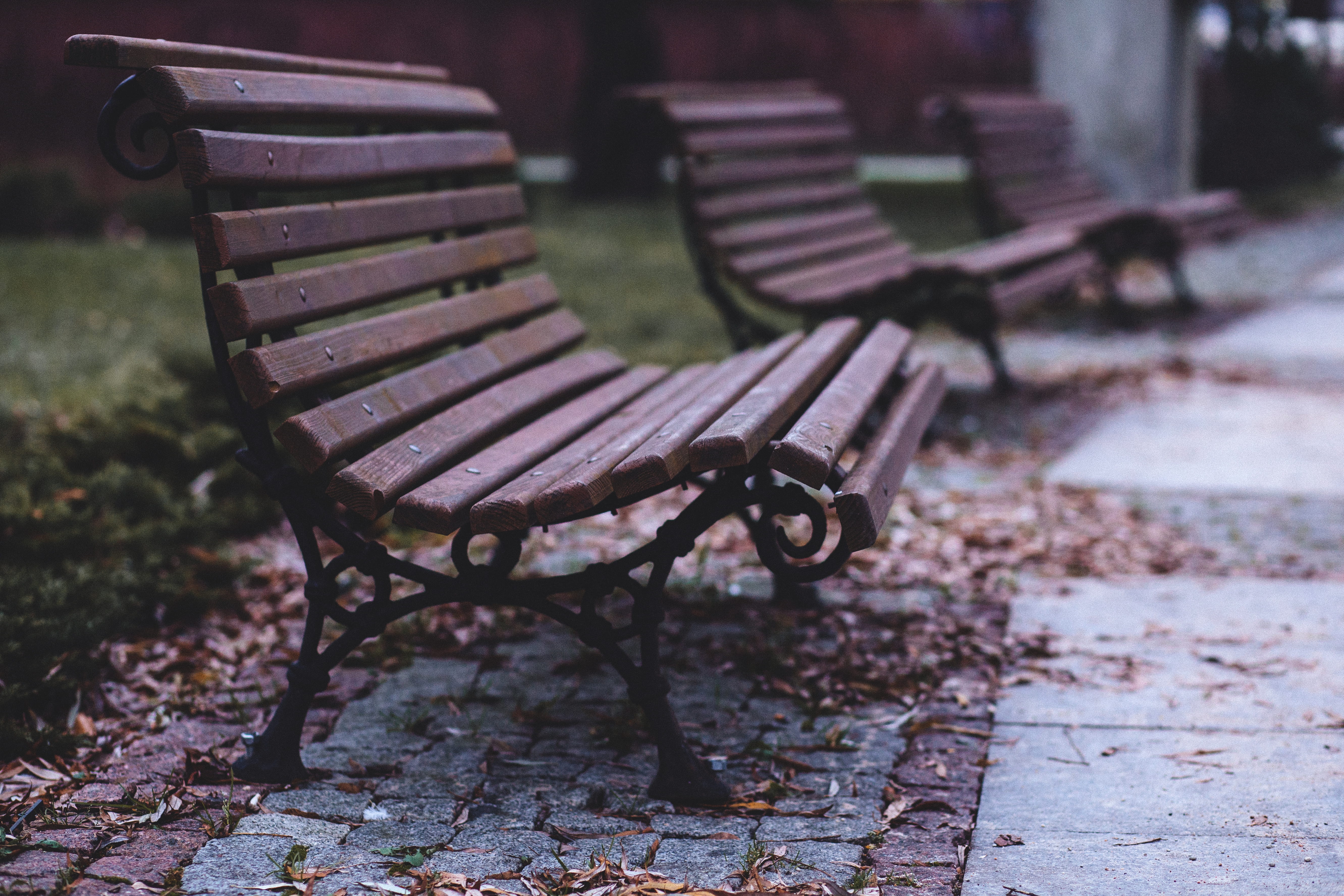 park - man made space, Empty, 5K, day, Benches, wood - Material, plant, absence, nature, leaf, focus on foreground, in a row, wheel, relaxation, autumn, HD Wallpaper