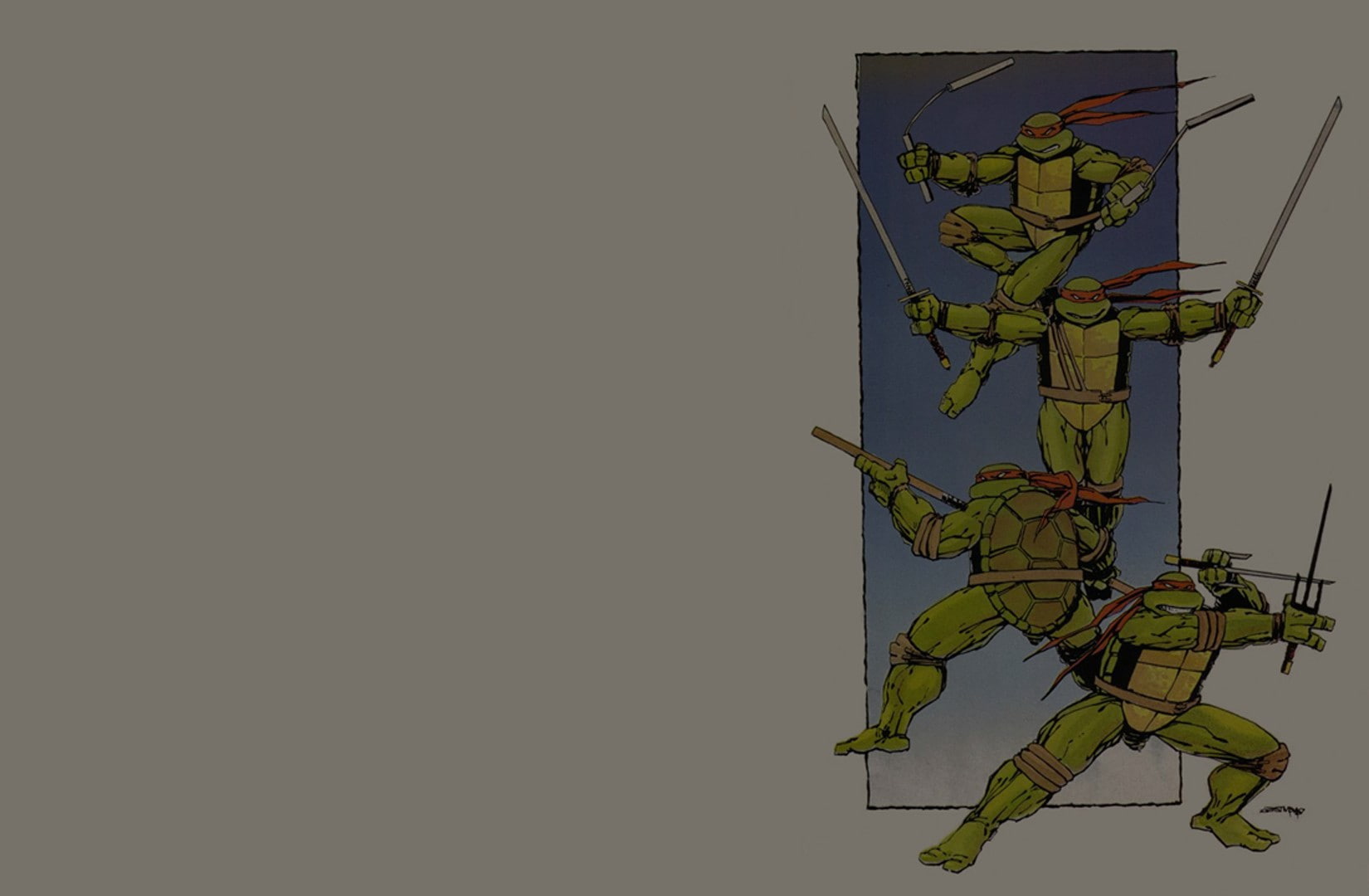 720P, Teenage Mutant Ninja Turtles, HD Wallpaper