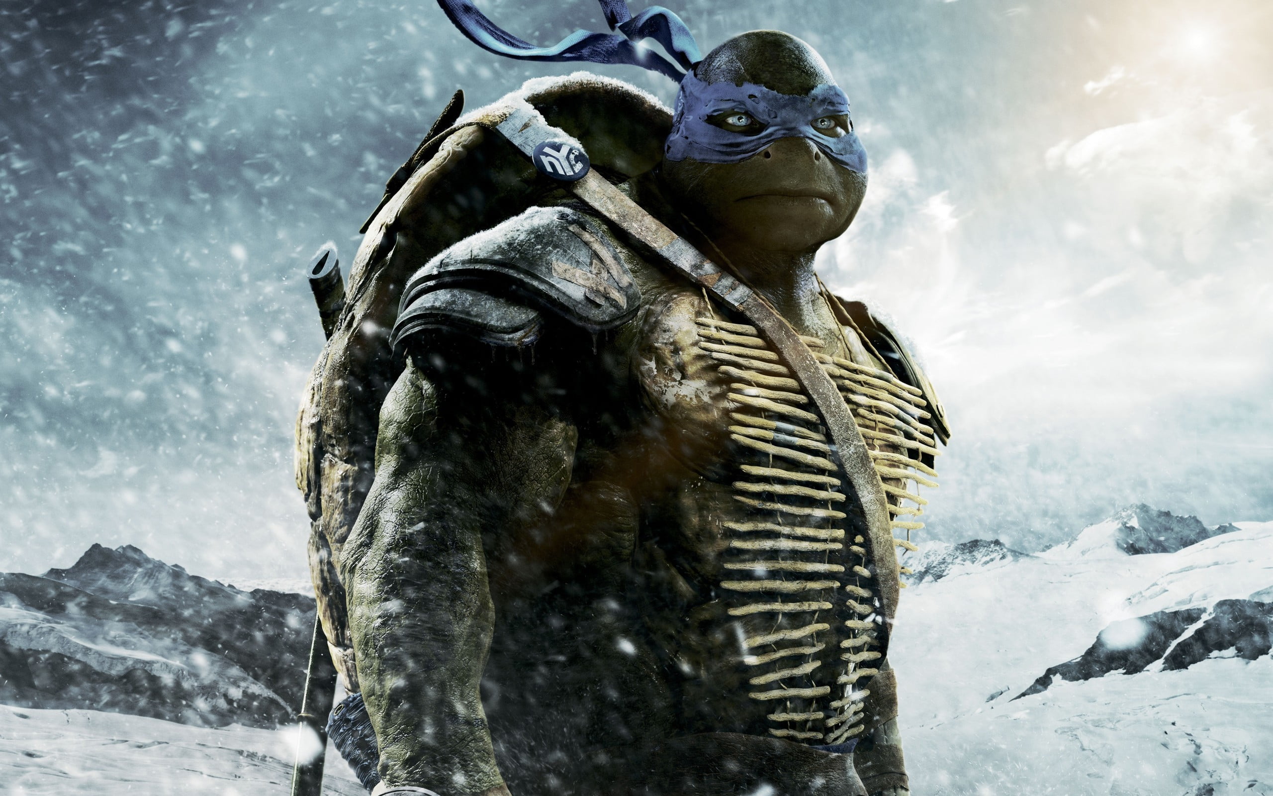 nature, winter, Teenage Mutant Ninja Turtles, snow, outdoors, low angle view, no people, movies, human representation, creativity, male likeness, representation, HD Wallpaper