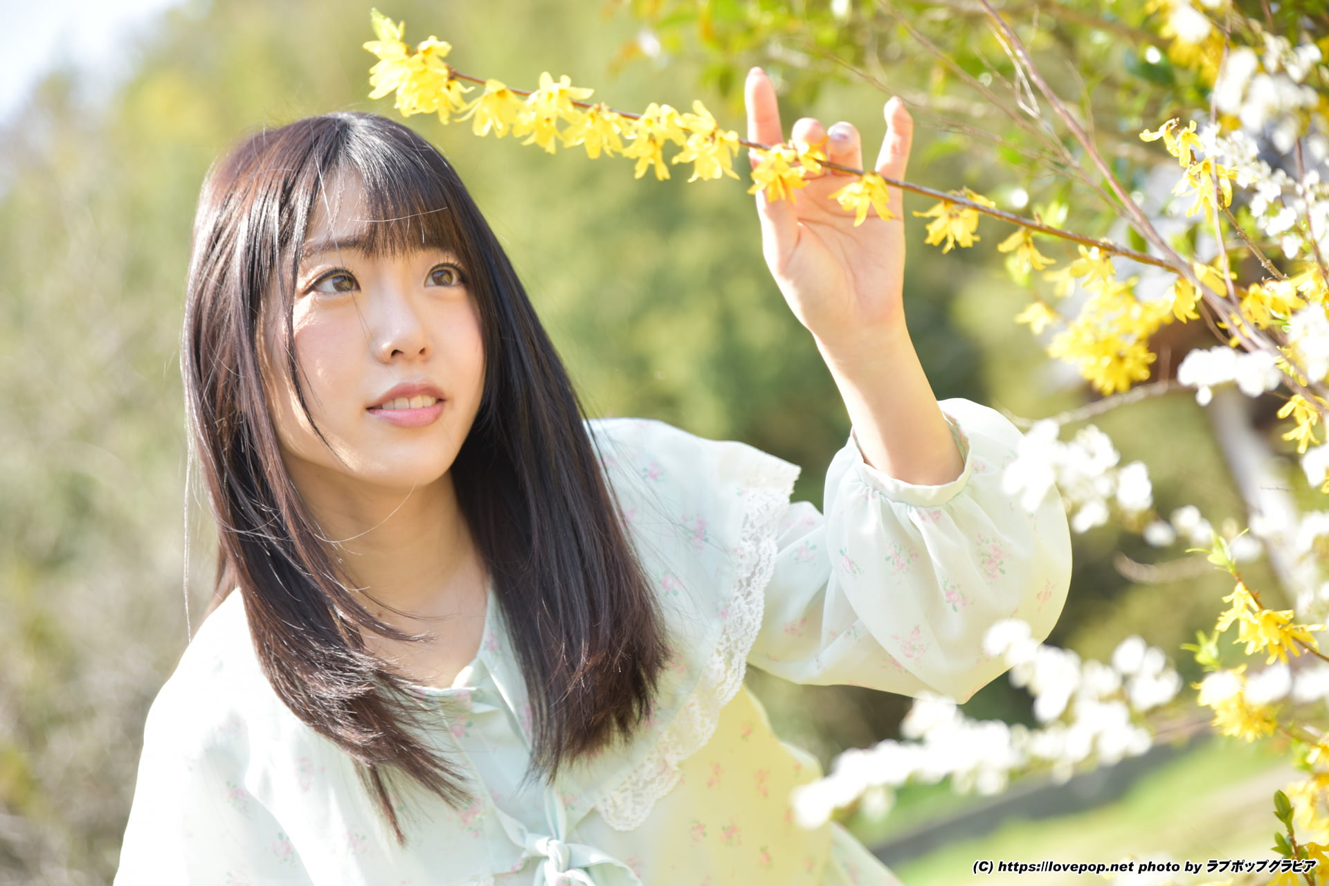 LovePop, 1080P, gravure, Japanese, Japanese women, Mizuho Shiraishi, Asian, women, HD Wallpaper