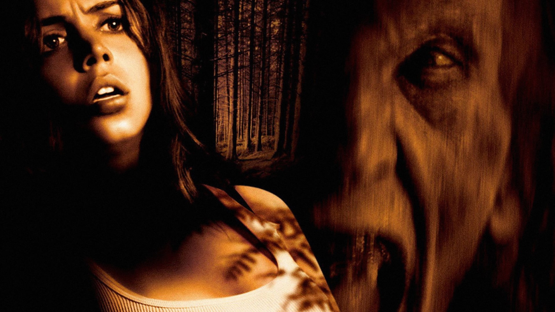 human face, handbag, body part, temptation, indoors, young women, beautiful woman, close-up, horror, leather, black, aggression, red, portrait, adult, women, HD Wallpaper