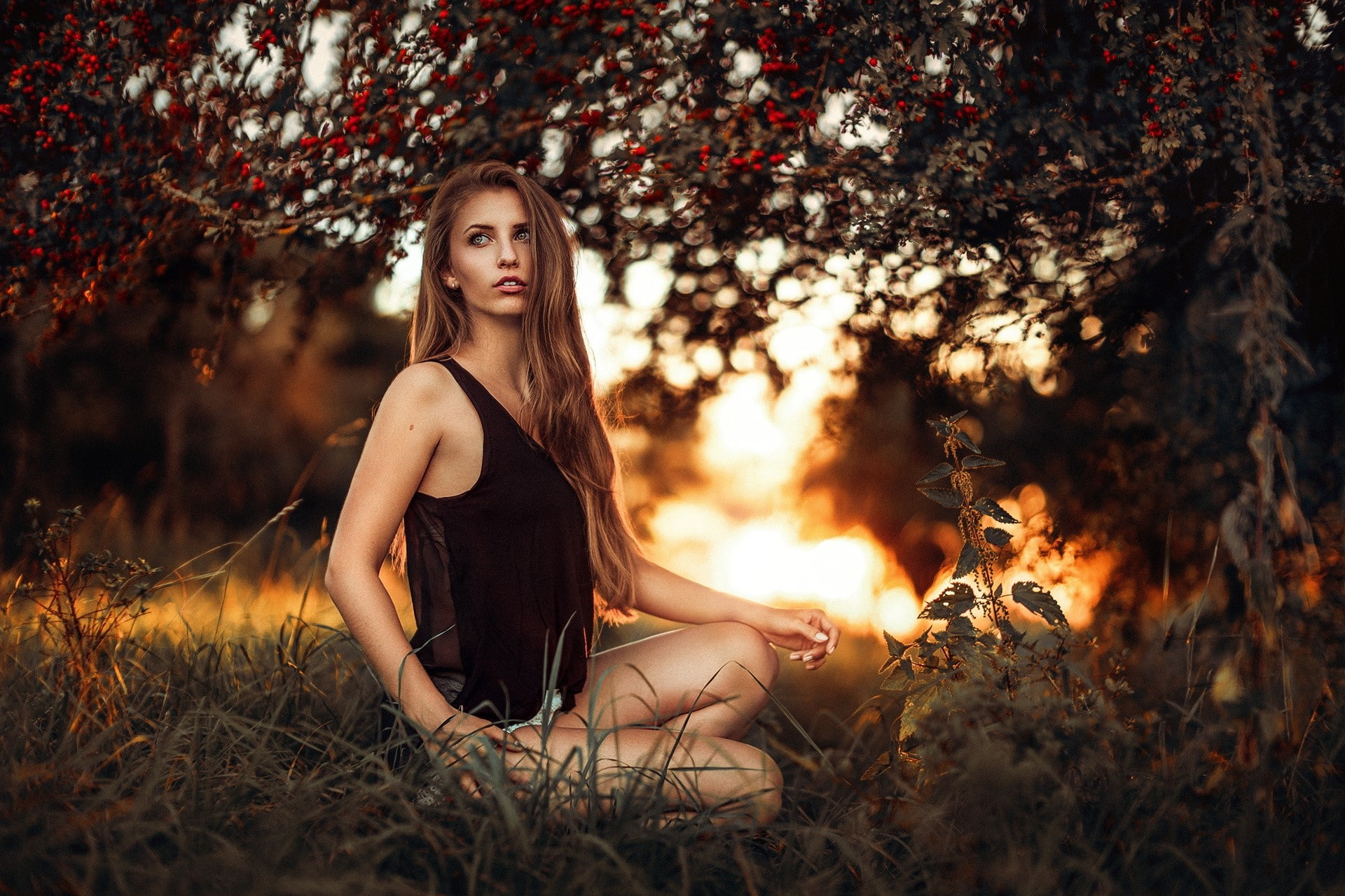 one person, grass, land, brunette, portrait, contemplation, sunset, long hair, outdoors, adult, looking away, tree, young adult, Martin Kühn, sitting, looking at camera, HD Wallpaper