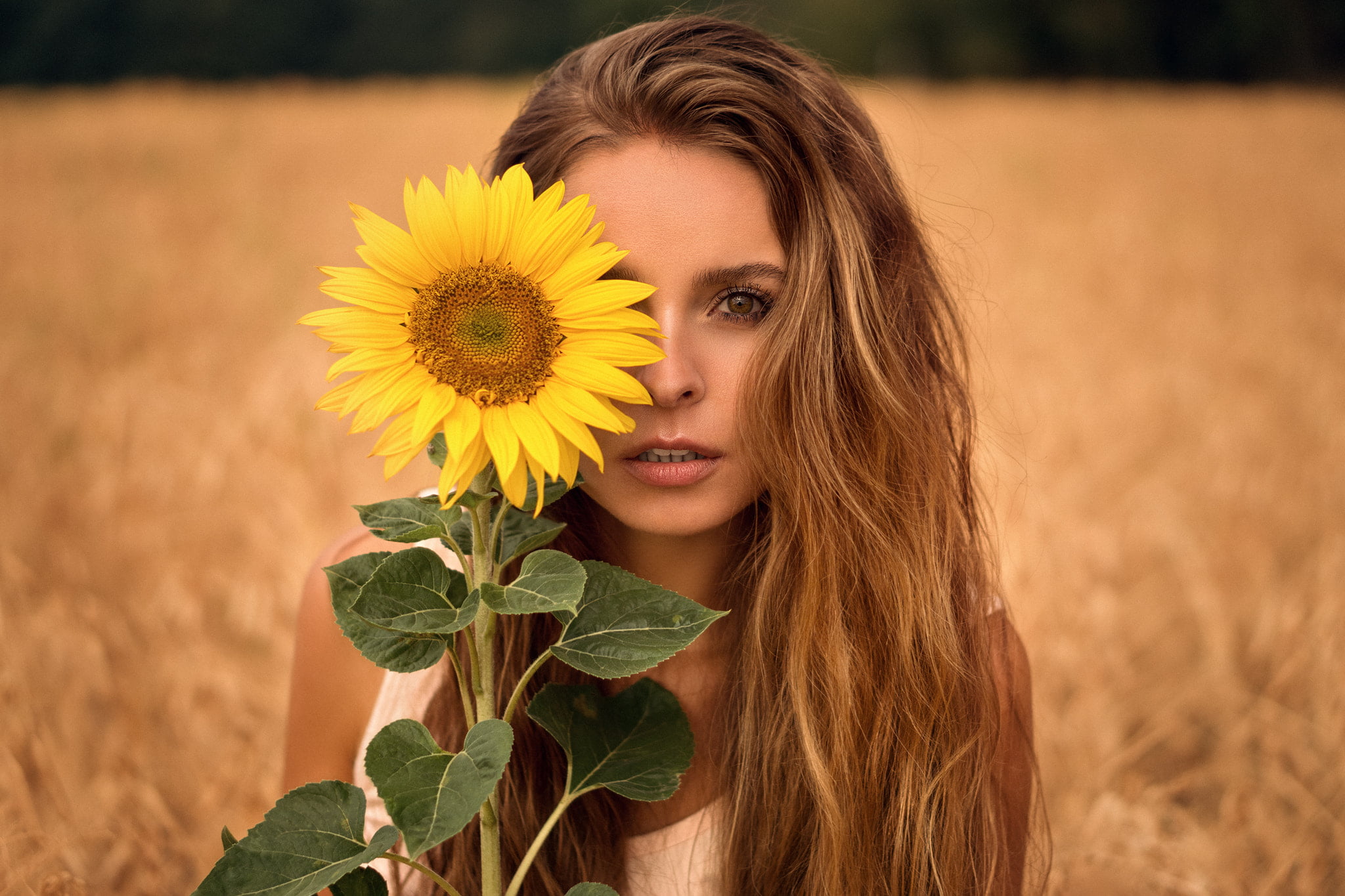 springtime, women, plant, beautiful woman, freshness, portrait, adult, face, flower head, Martin Kühn, nature, land, hair, sunflowers, sunflower, beauty, HD Wallpaper