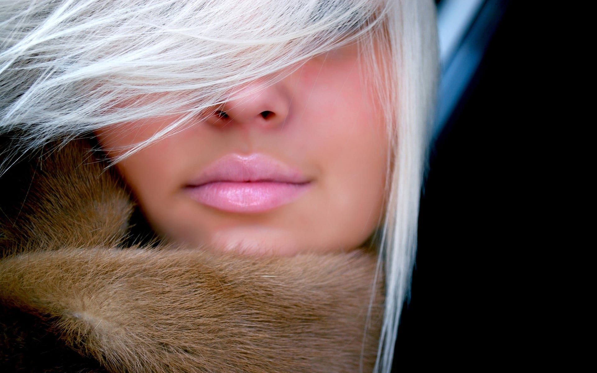 human face, hair, headshot, black background, human body part, adult, human hair, women, females, beautiful woman, studio shot, white hair, close-up, beauty, HD Wallpaper