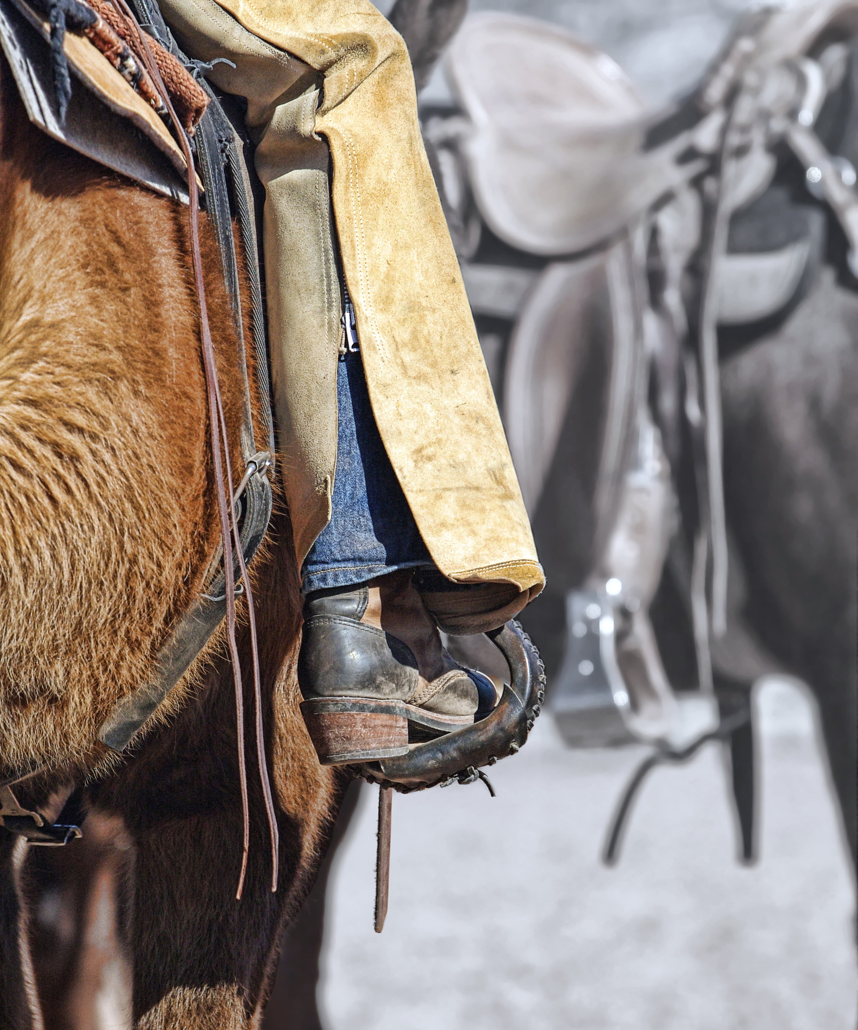 saddle, side view, woman, cowgirl, domestic animals, person, riding, denim, equine, working animal, farm, leather, no people, animal, close-up, rural, pets, Phone HD Wallpaper