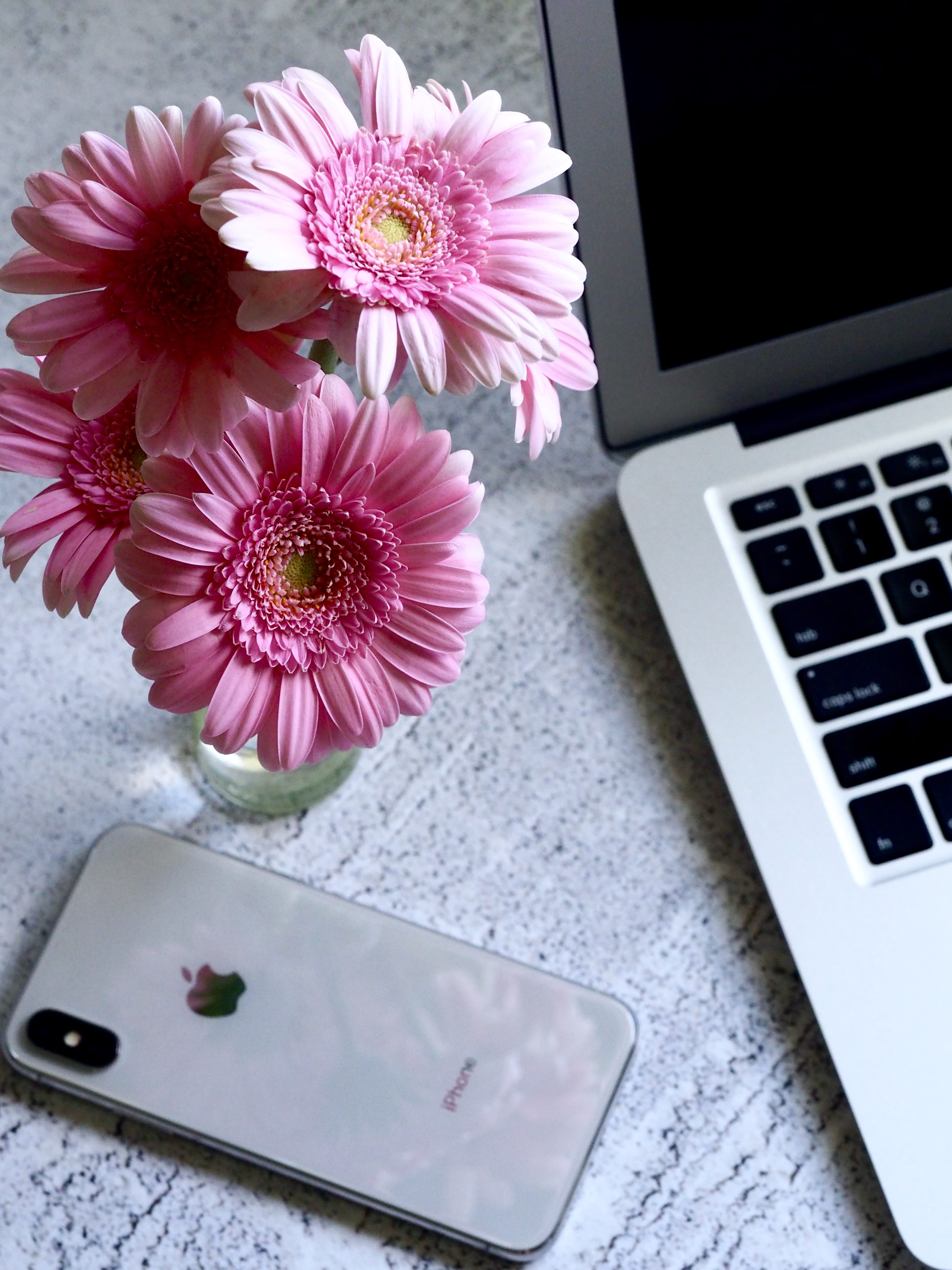 bloom, flower arrangement, indoors, screen, high angle view, phone, no people, bright, close-up, silver, beauty in nature, smart phone, petals, flower, Phone HD Wallpaper