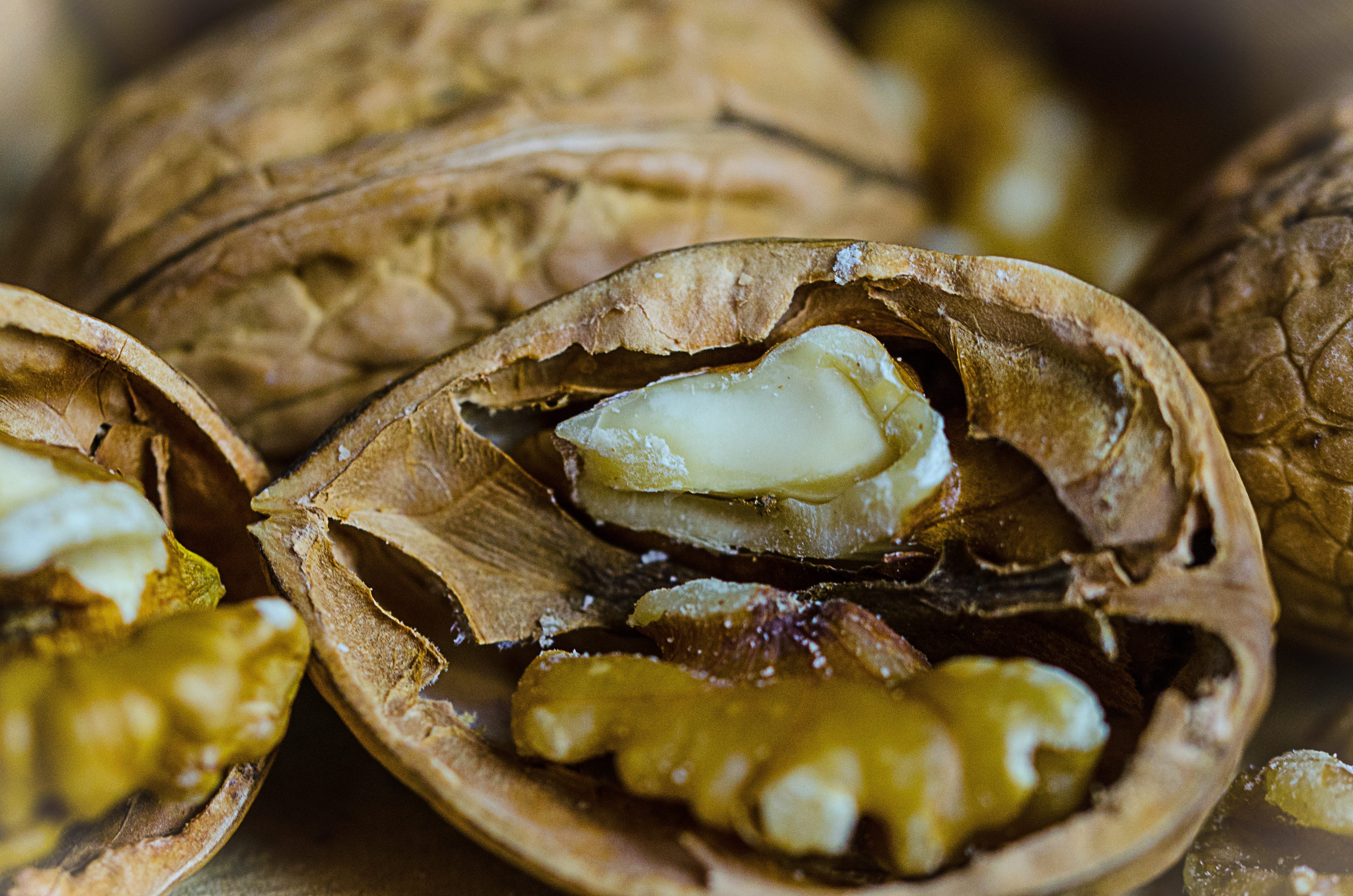 nutrition, shell, nature, fruit bowl, 4K, no people, food, nut, sea, still life, business, wellbeing, healthy eating, healthy, indoors, close, freshness, HD Wallpaper