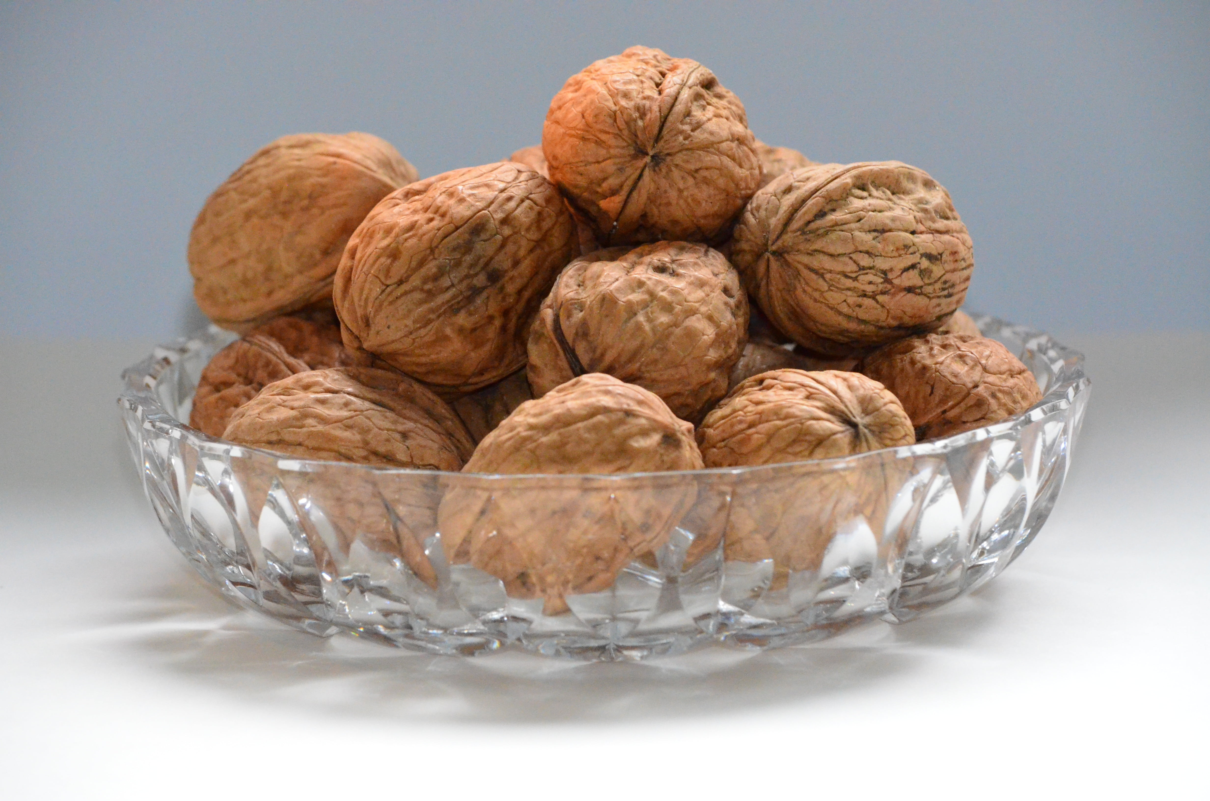 nut - Food, seed, group of objects, organic, chestnuts, freshness, close-up, indoors, food, 4K, studio shot, still life, nutshell, bowl, christmas time, HD Wallpaper