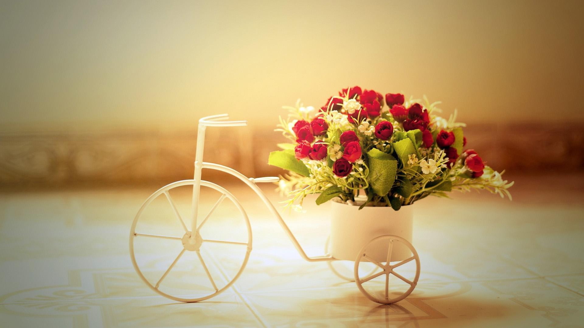 1080P, bicycle, romantic, roses, HD Wallpaper