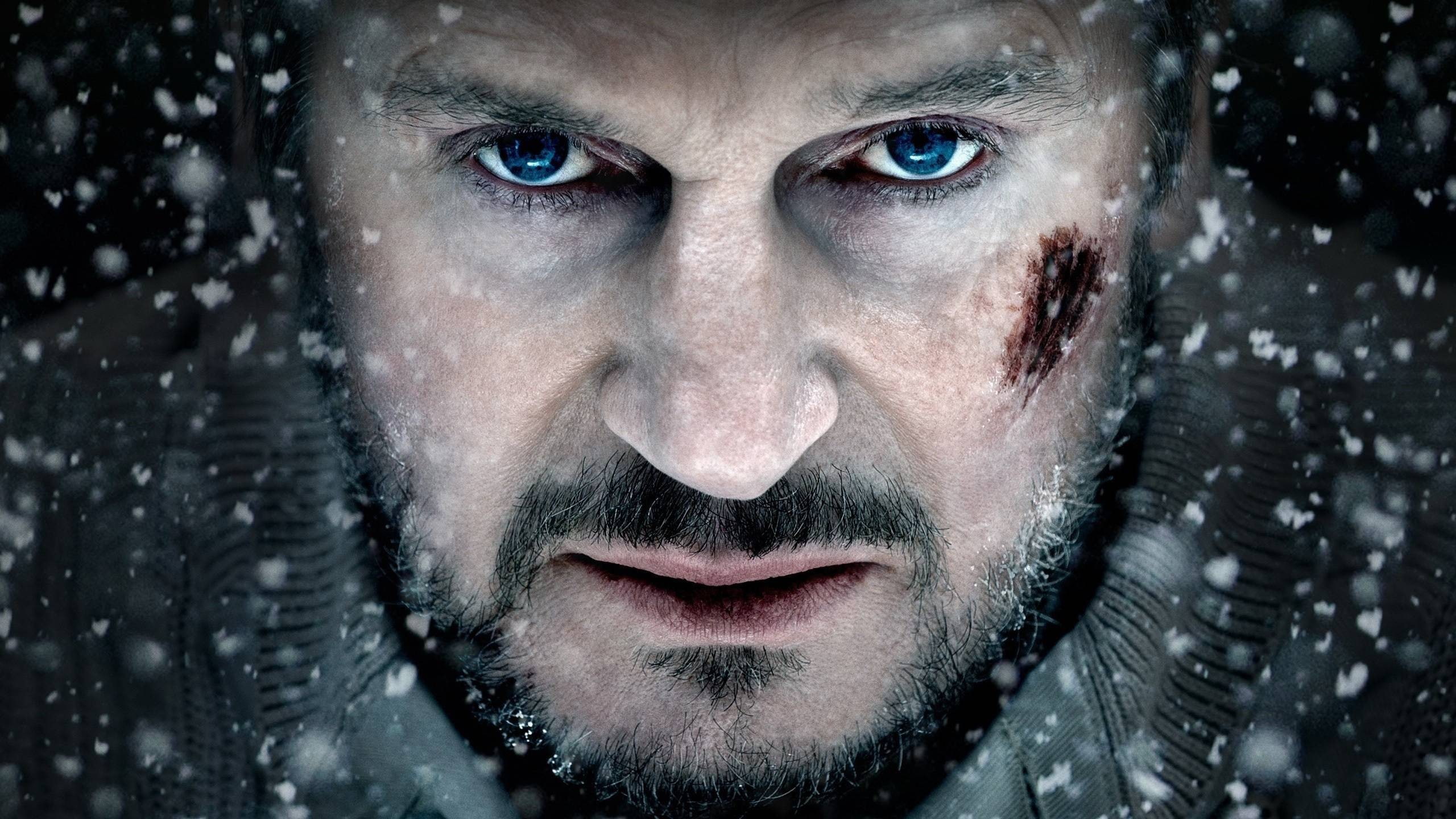one person, facial hair, cold temperature, aggression, beard, emotion, men, adult, eye, Liam Neeson, snowing, movies, contemplation, headshot, serious, HD Wallpaper