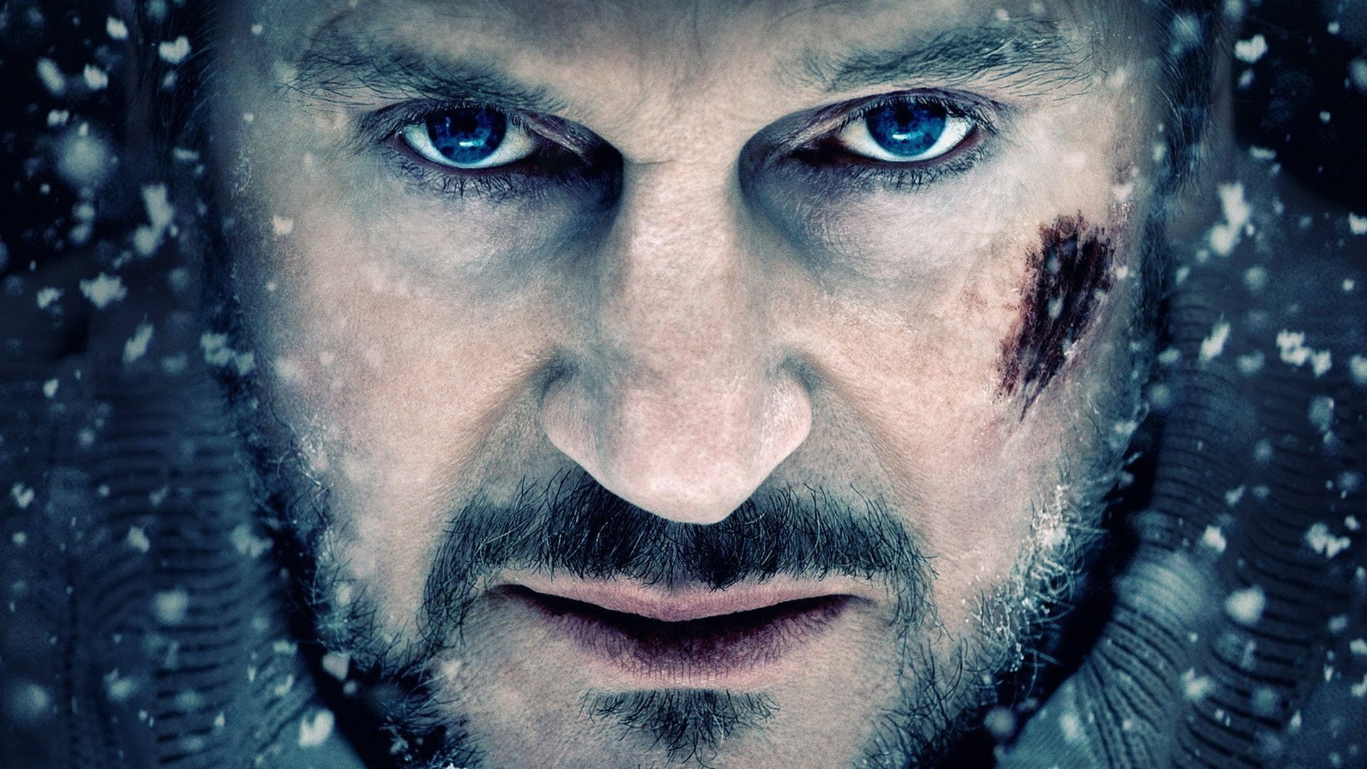 Liam Neeson, The Grey, Movie, 1080P, HD Wallpaper