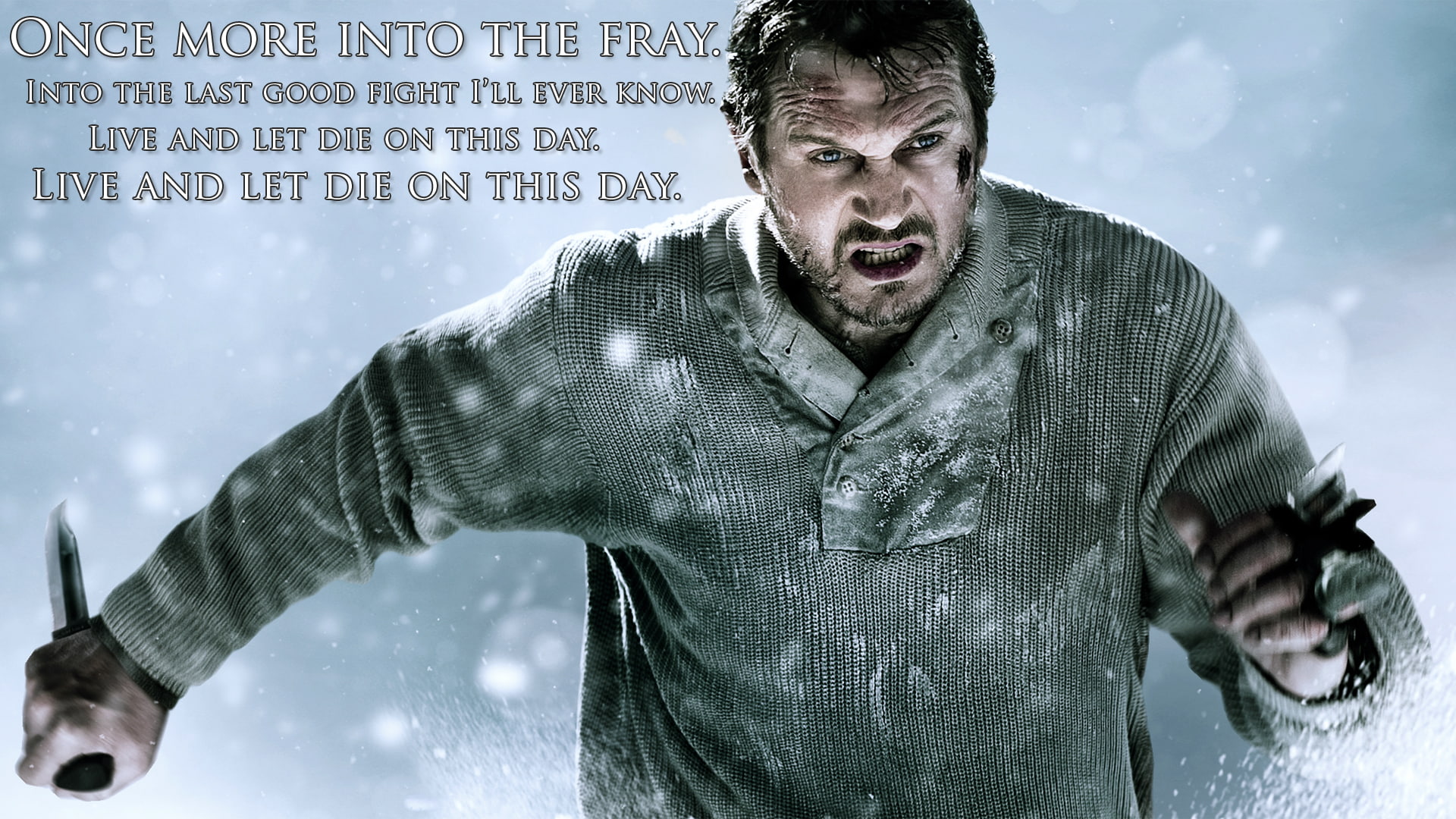 neeson, 1080P, hd, movies, the, die, grey, liam, poem, fight, HD Wallpaper