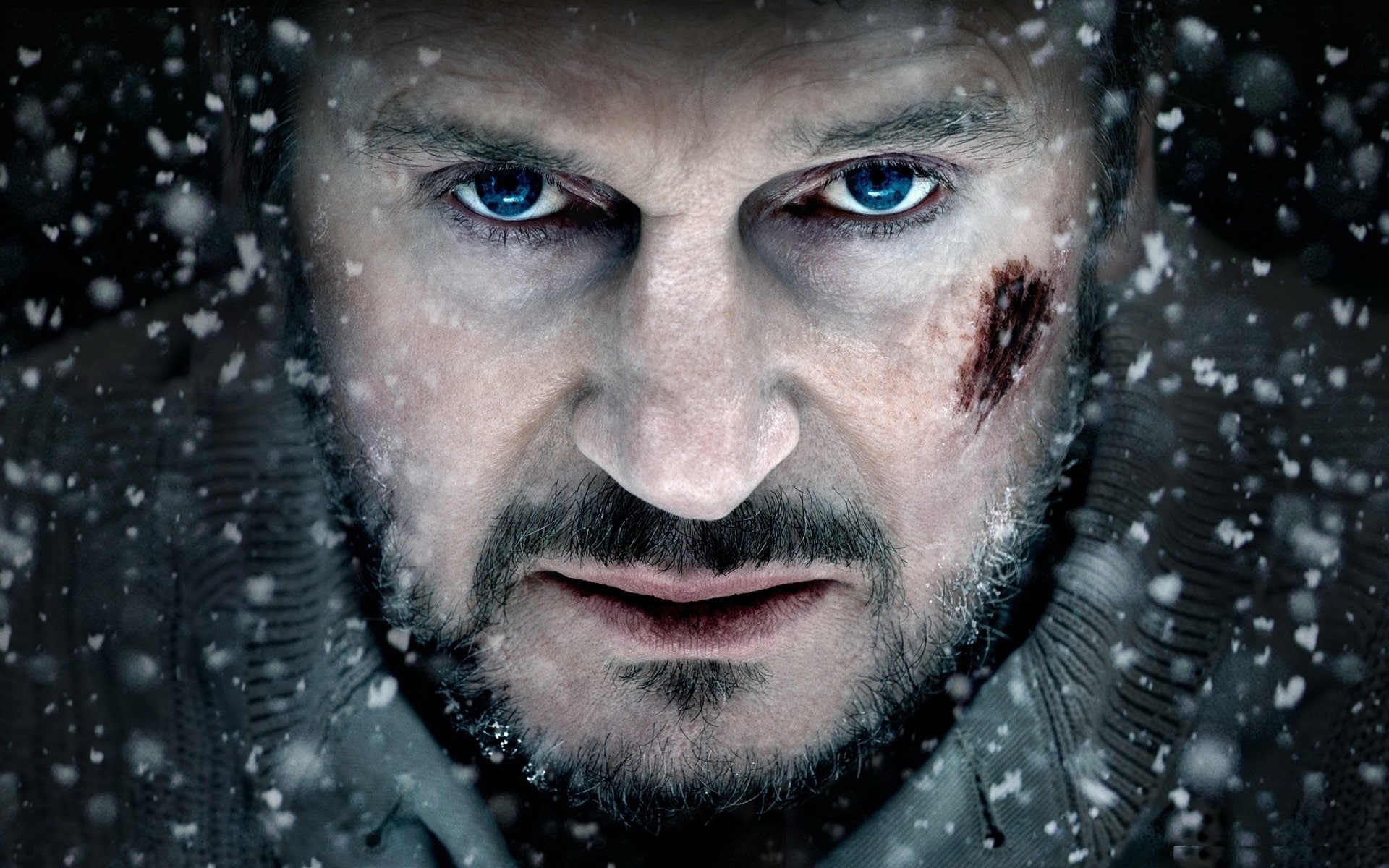 The Grey, Liam Neeson, Movie, 1080P, HD Wallpaper