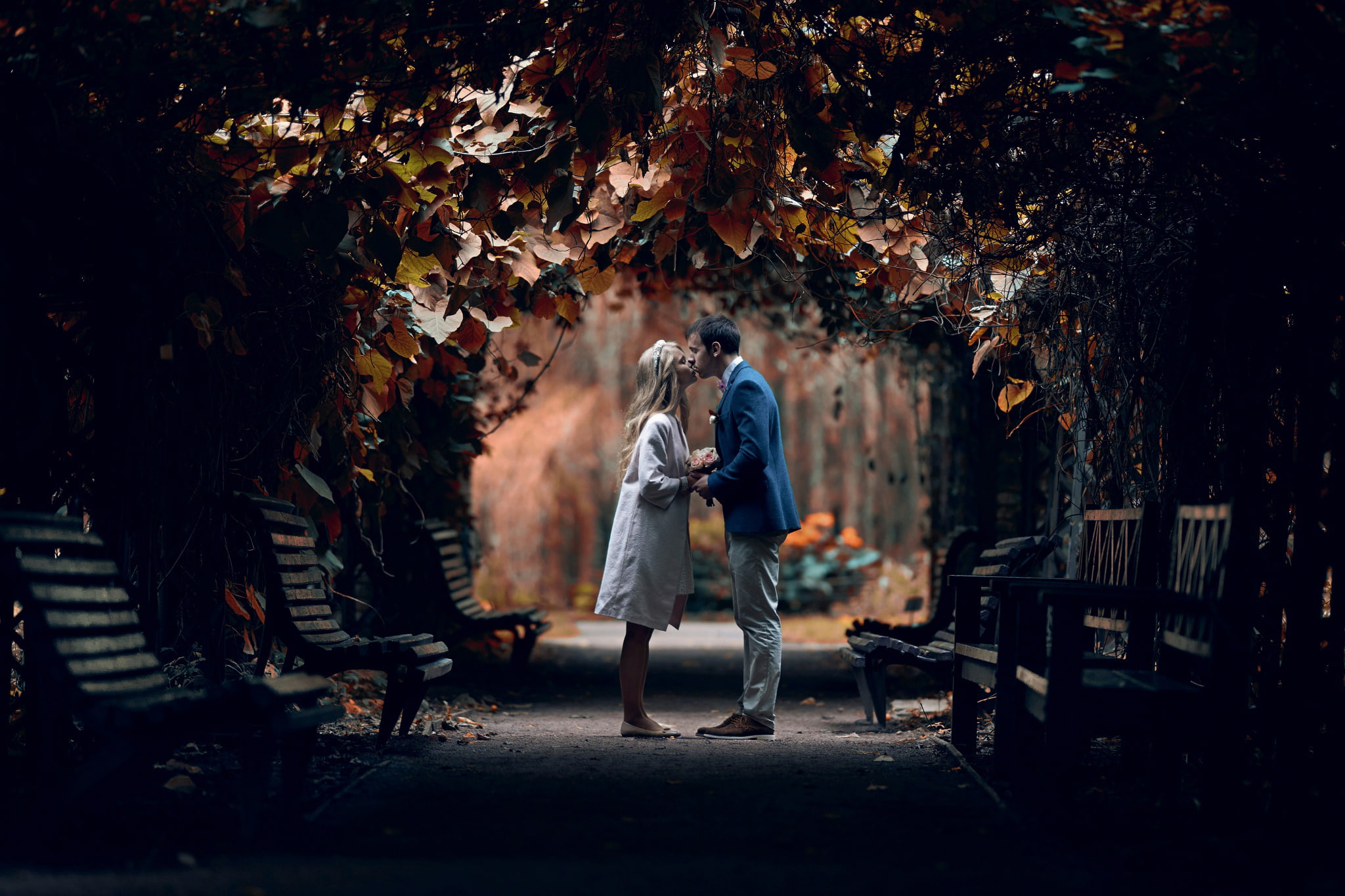 plant, adult, leisure activity, bench, young adult, seat, outdoors, kiss, leaf, real people, lovers, nature, grey, plant part, blue, suit, autumn, Park, HD Wallpaper