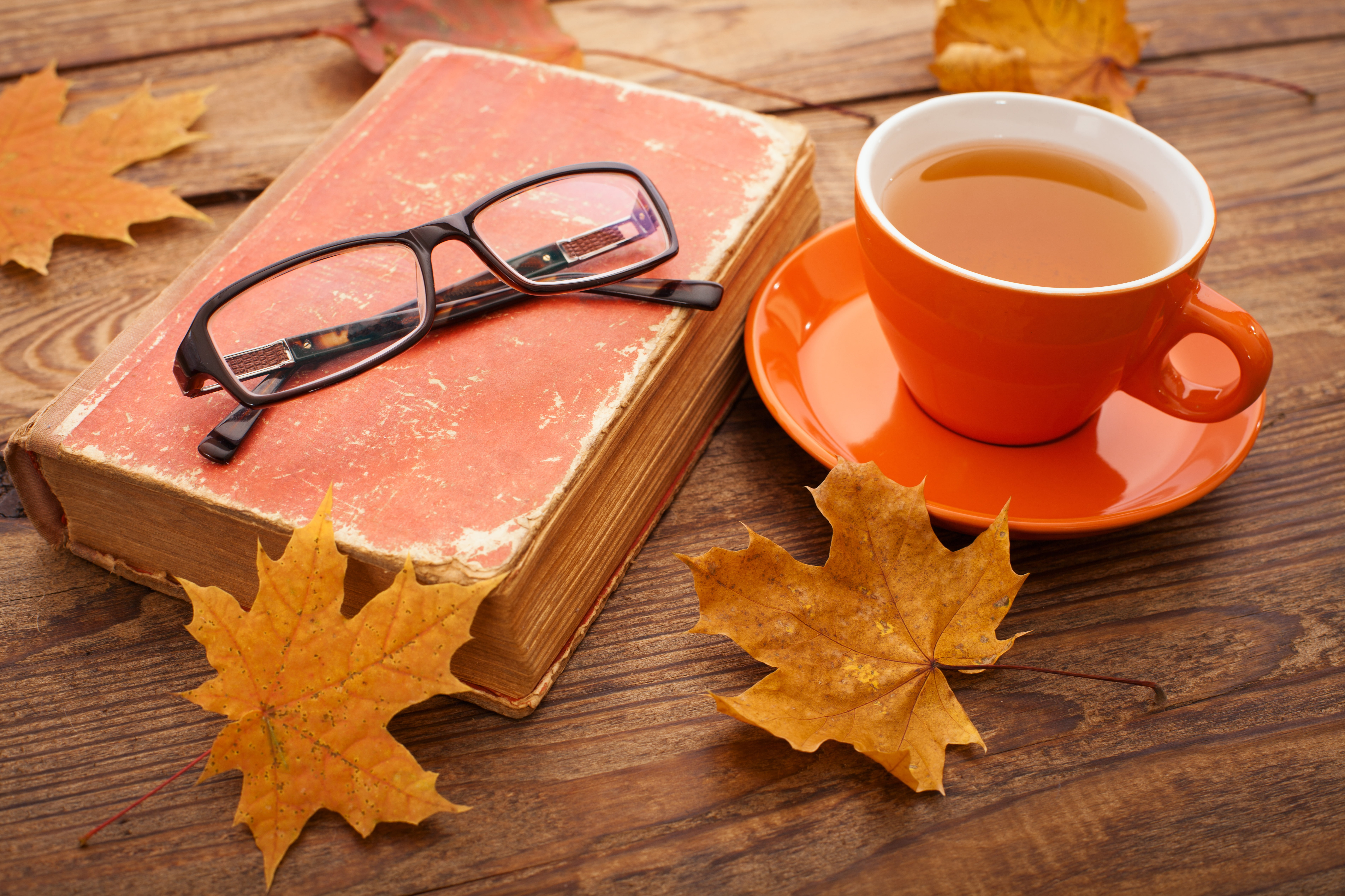 Cup, leaves, orange color, food, high angle view, mug, old, nature, multi Colored, leaf, backgrounds, table, framed, saucer, tea, refreshment, old-fashioned, HD Wallpaper