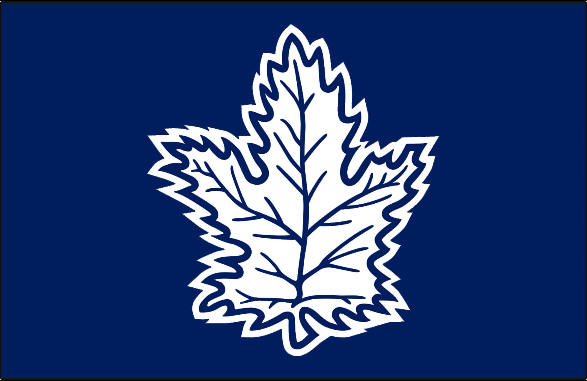 1080P, Hockey, Toronto Maple Leafs, HD Wallpaper