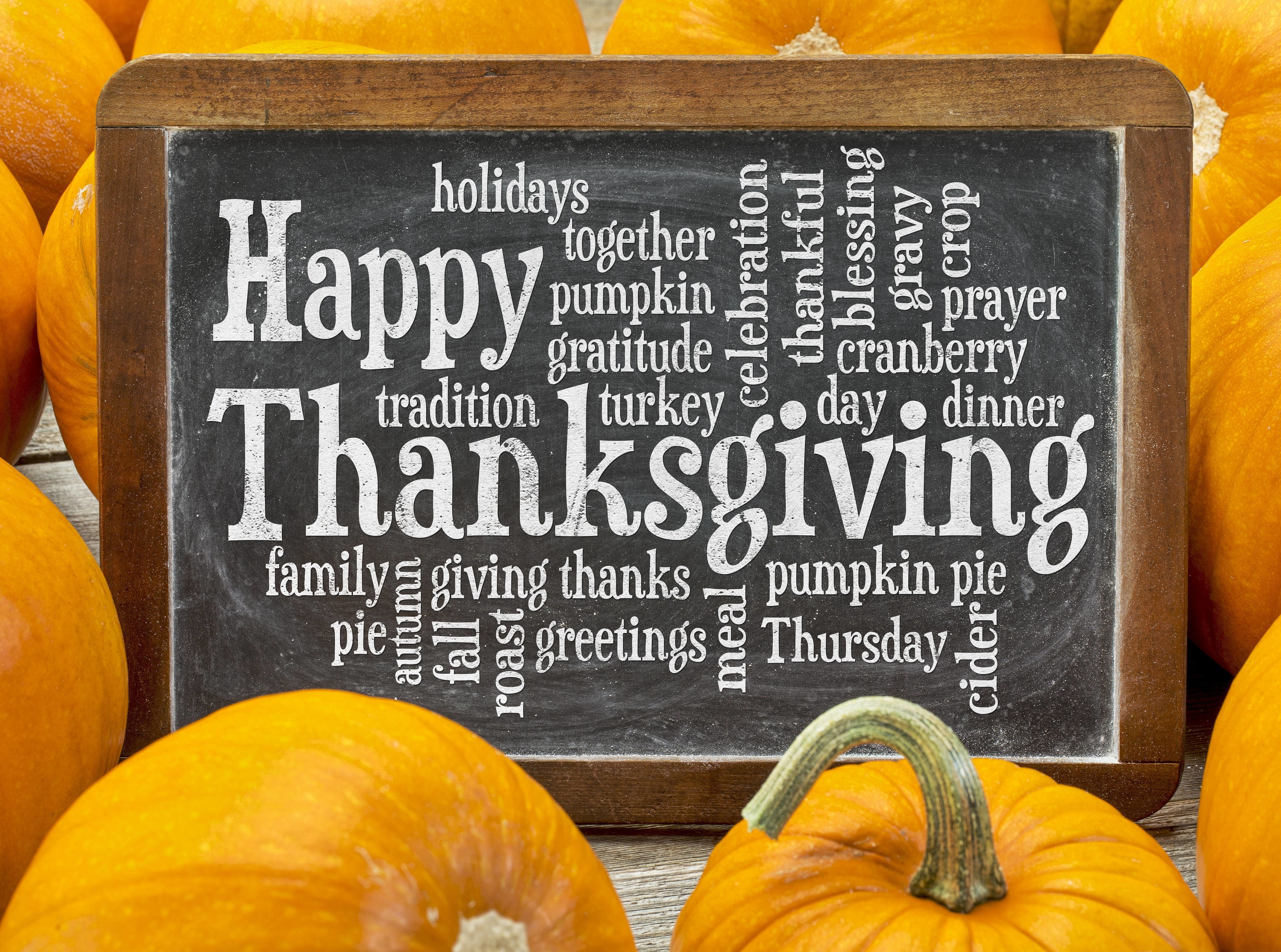Halloween, thanksgiving, Happy, 4K, Holidays, Greetings, HD Wallpaper
