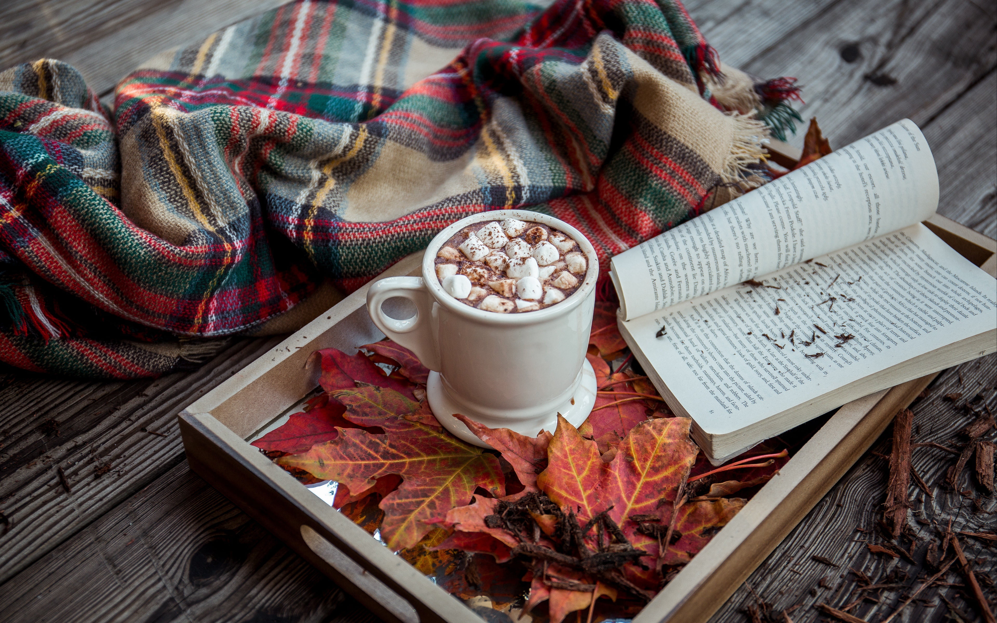 plaid, marshmallows, leaves, tray, book, background, marshmallow, cocoa, hot cocoa, hot chocolate, blanket, autumn, 4K, wood, HD Wallpaper