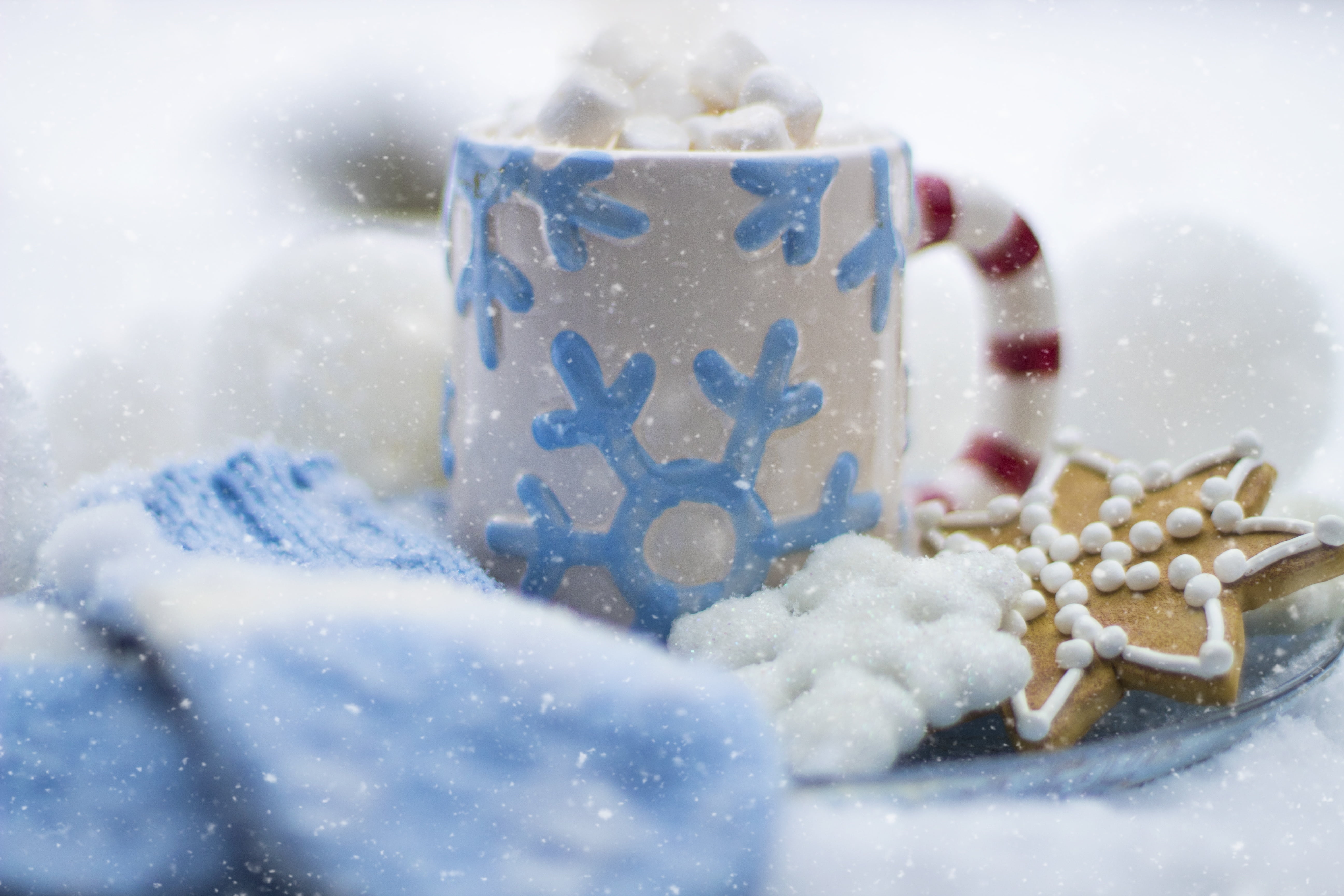 indoors, food, festive, food and drink, glove, nature, drink, winter, hot chocolate, mitten, selective focus, sweet food, beverage, mug, mittens, cold temperature, HD Wallpaper