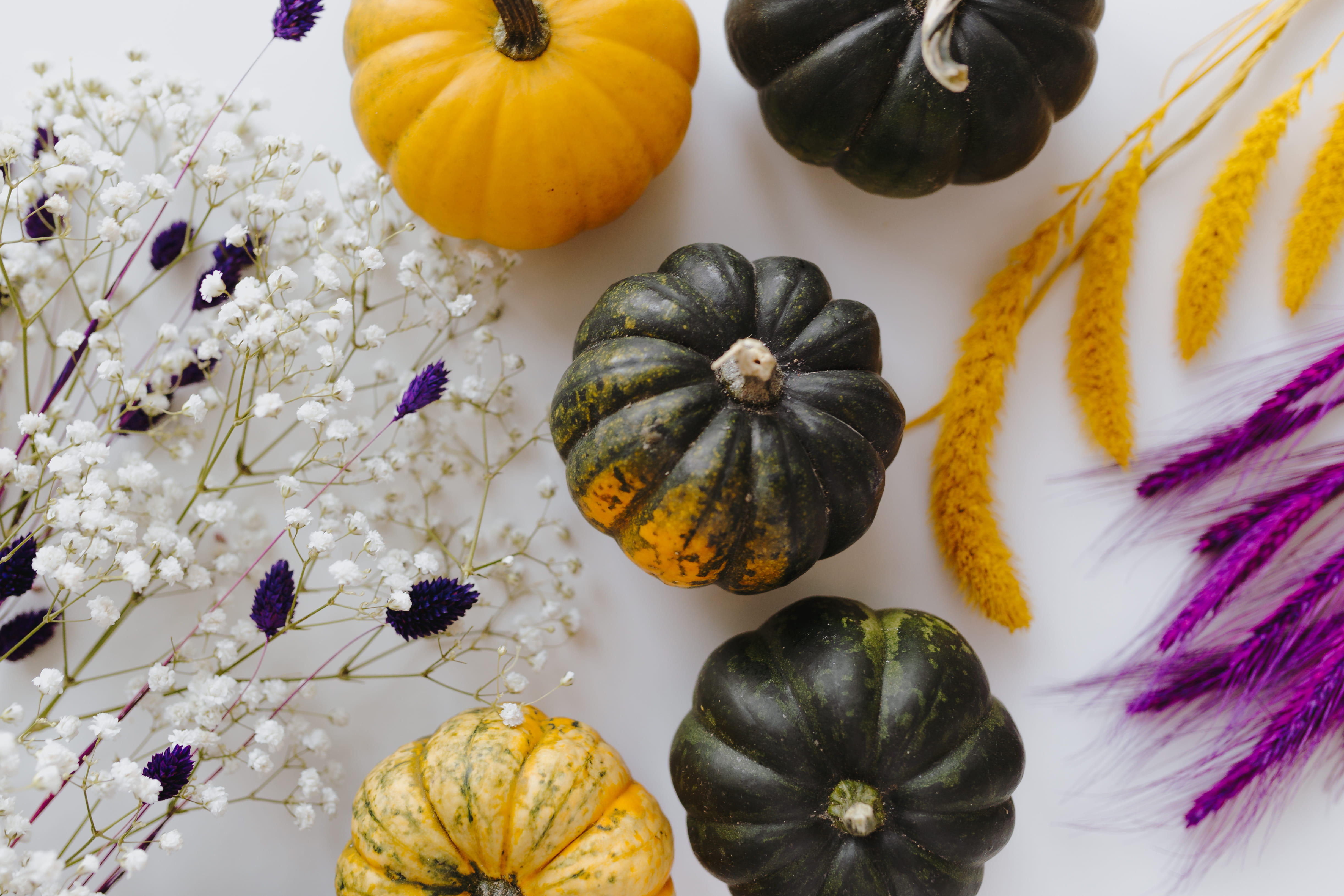 4K, white, background, yellow, still life, green, indoors, flat lay, dark, vegetable, freshness, nature, pumpkin, multi colored, halloween, flowering plant, HD Wallpaper