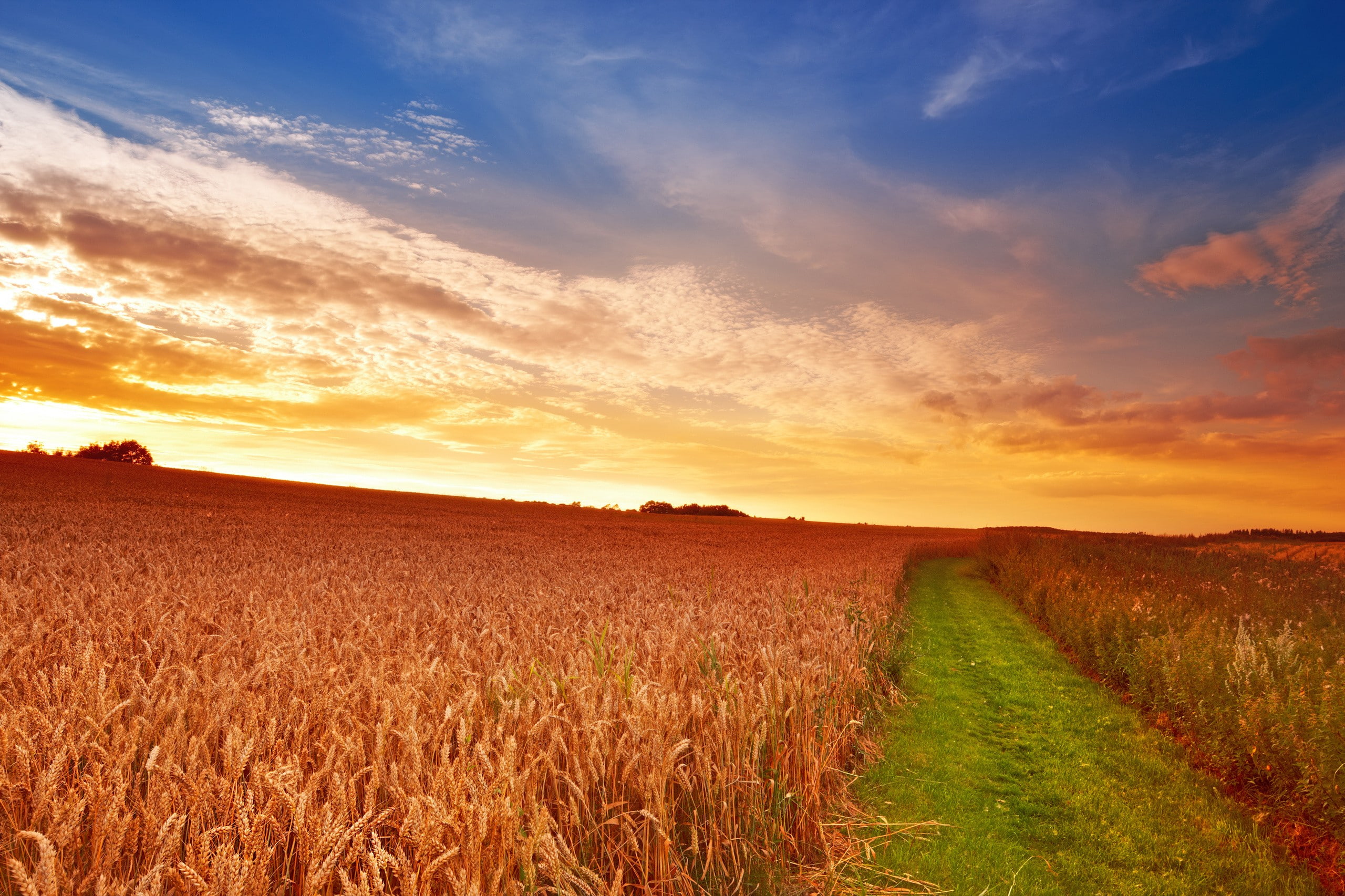 natrue, Nature, landscape, field, 2K, Landscapes, sunset, HD Wallpaper