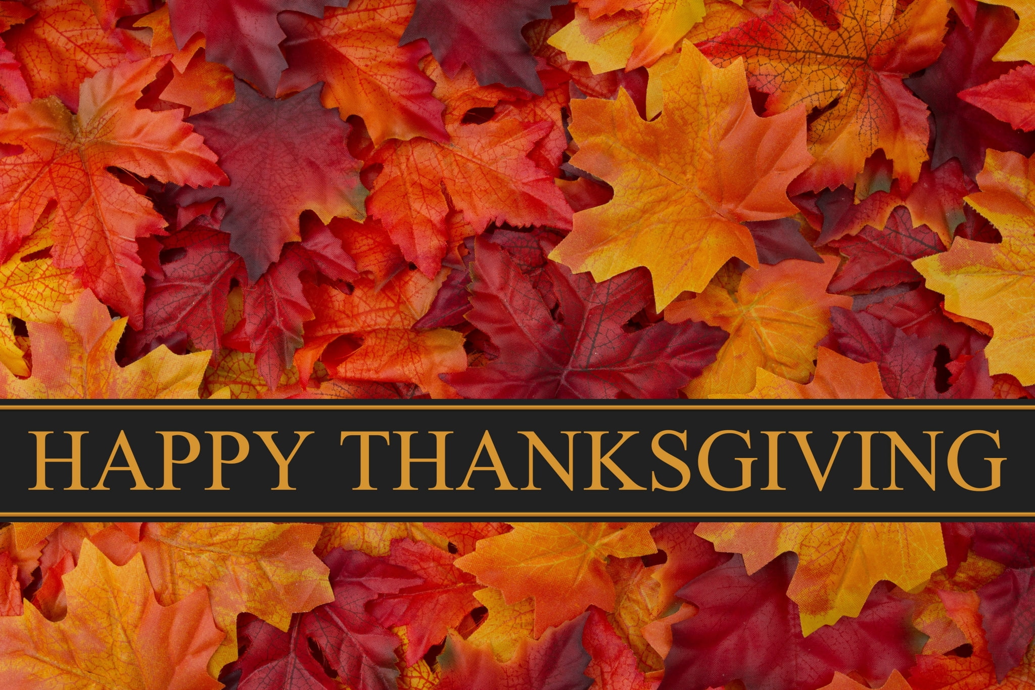 day, leaf, plant part, thanksgiving  for mac computers, orange color, autumn, nature, leaves, pattern, text, maple leaf, yellow, close-up, communication, HD Wallpaper