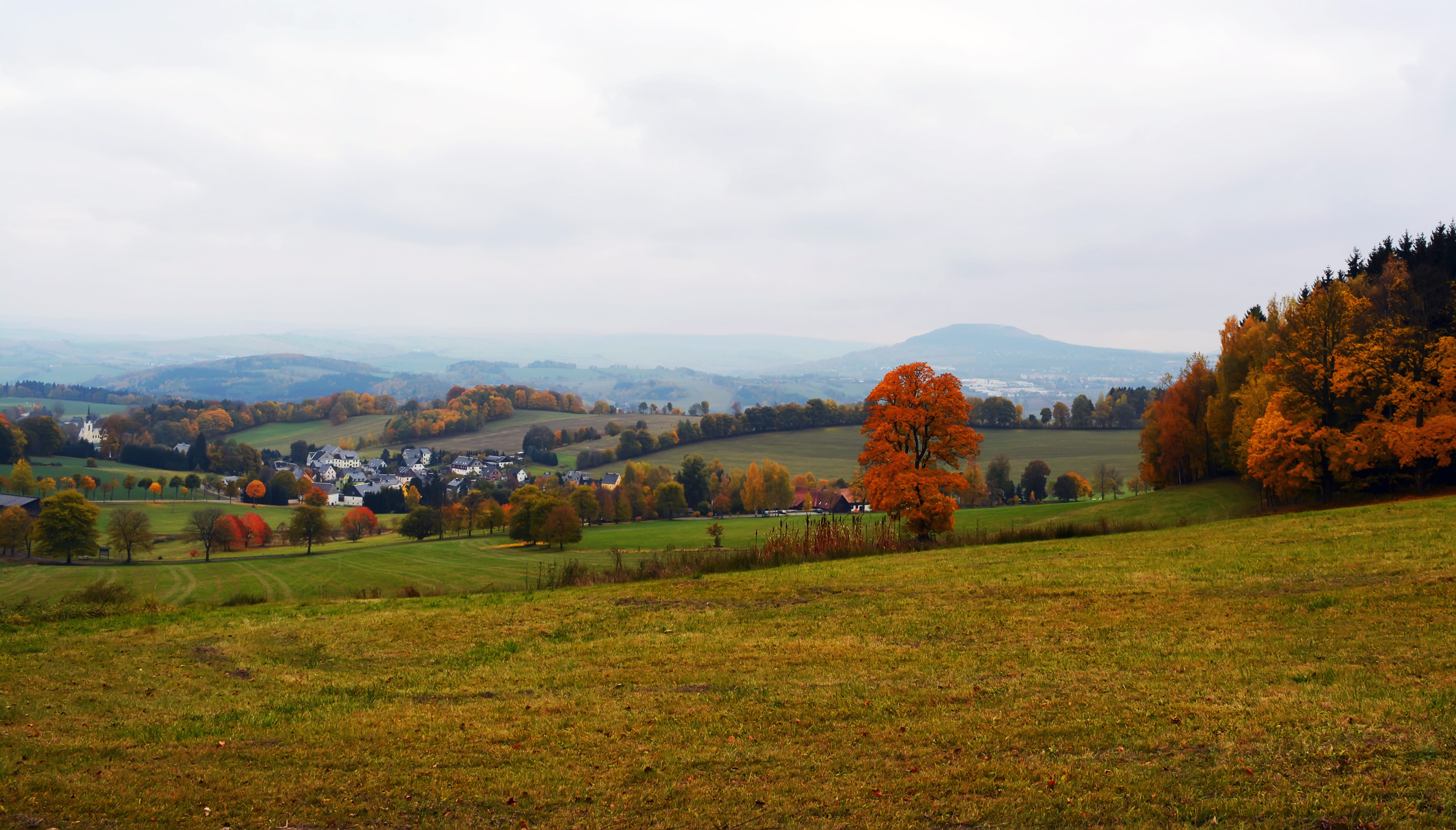 change, cloud - sky, tree, grass, orange tree, landscape, scenics - nature, nature, mountain, misty, green color, trees, 5K, day, autumn, land, outdoors, HD Wallpaper