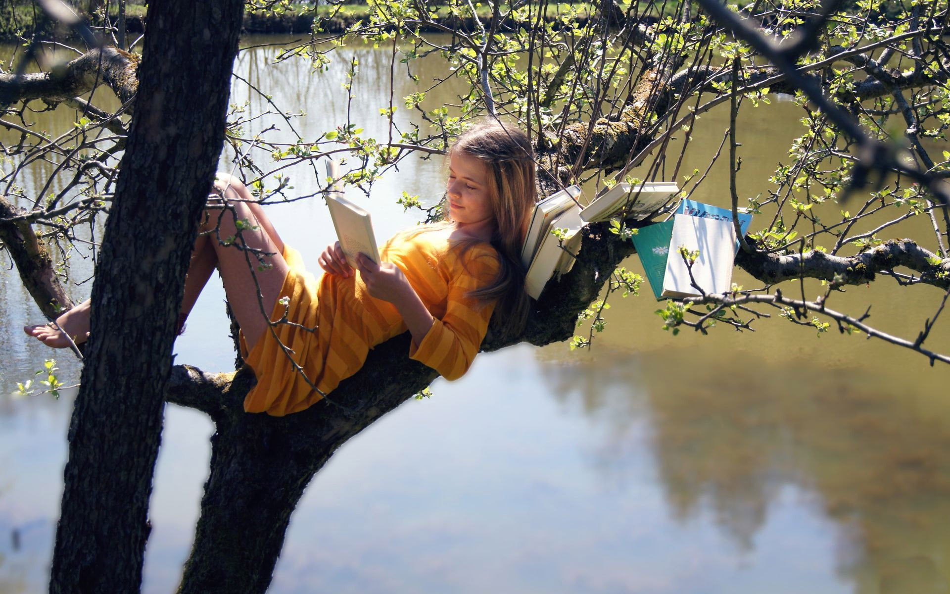 reading, introvert, striped clothing, books, barefoot, trees, women outdoors, legs, dress, 1080P, HD Wallpaper