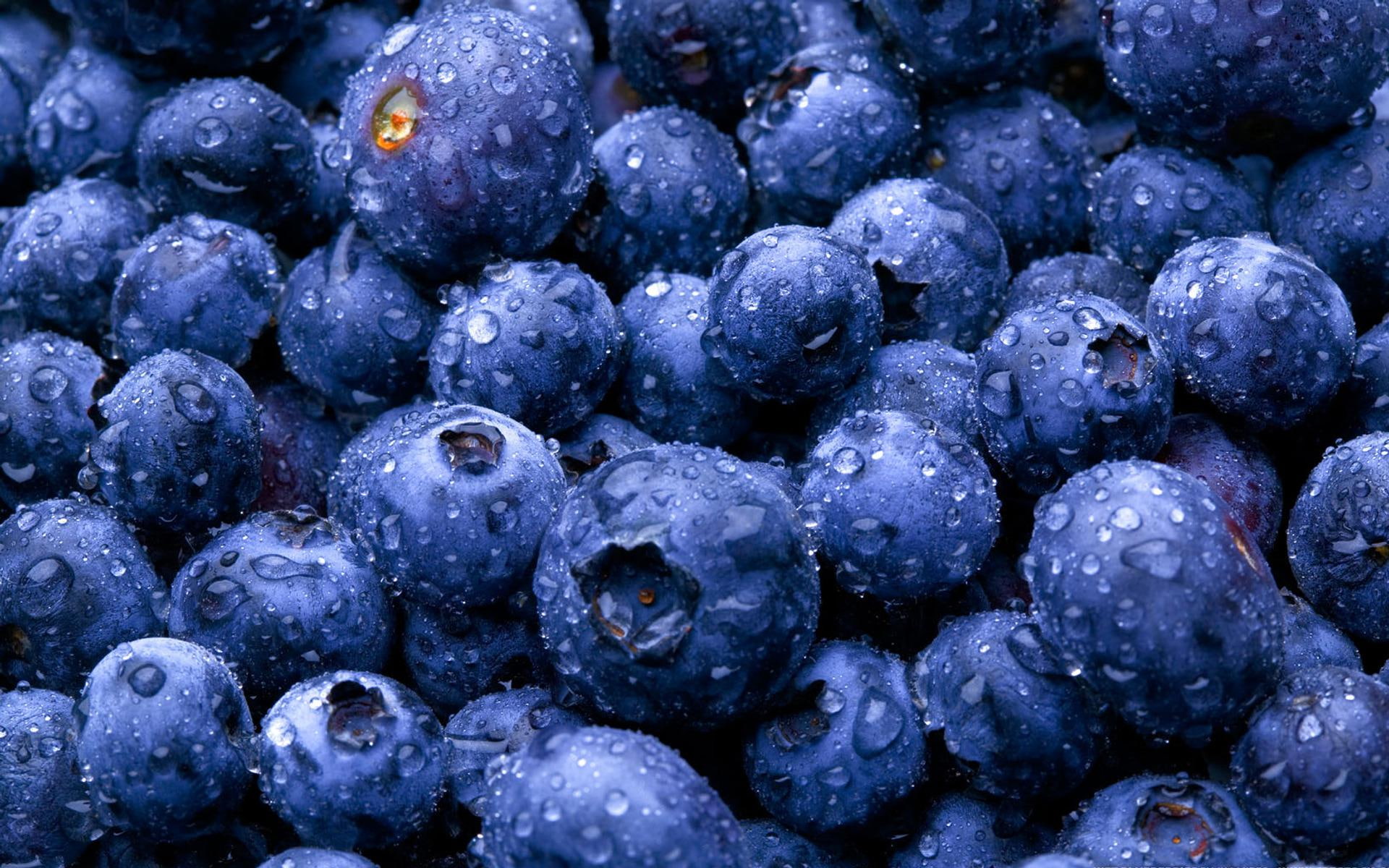 blueberries, 1080P, blueberry, fruits, pile, HD Wallpaper