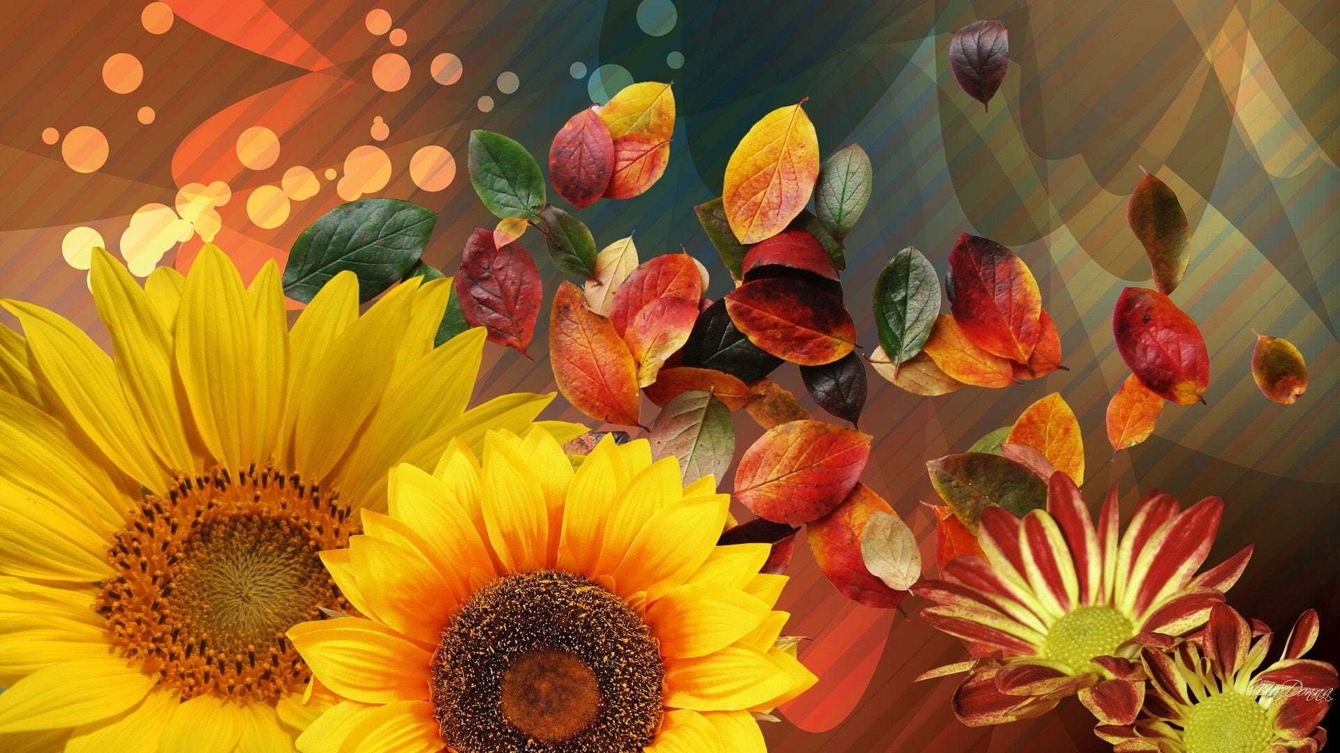 Sunflowers, Red, 1080P, Leaves, HD Wallpaper