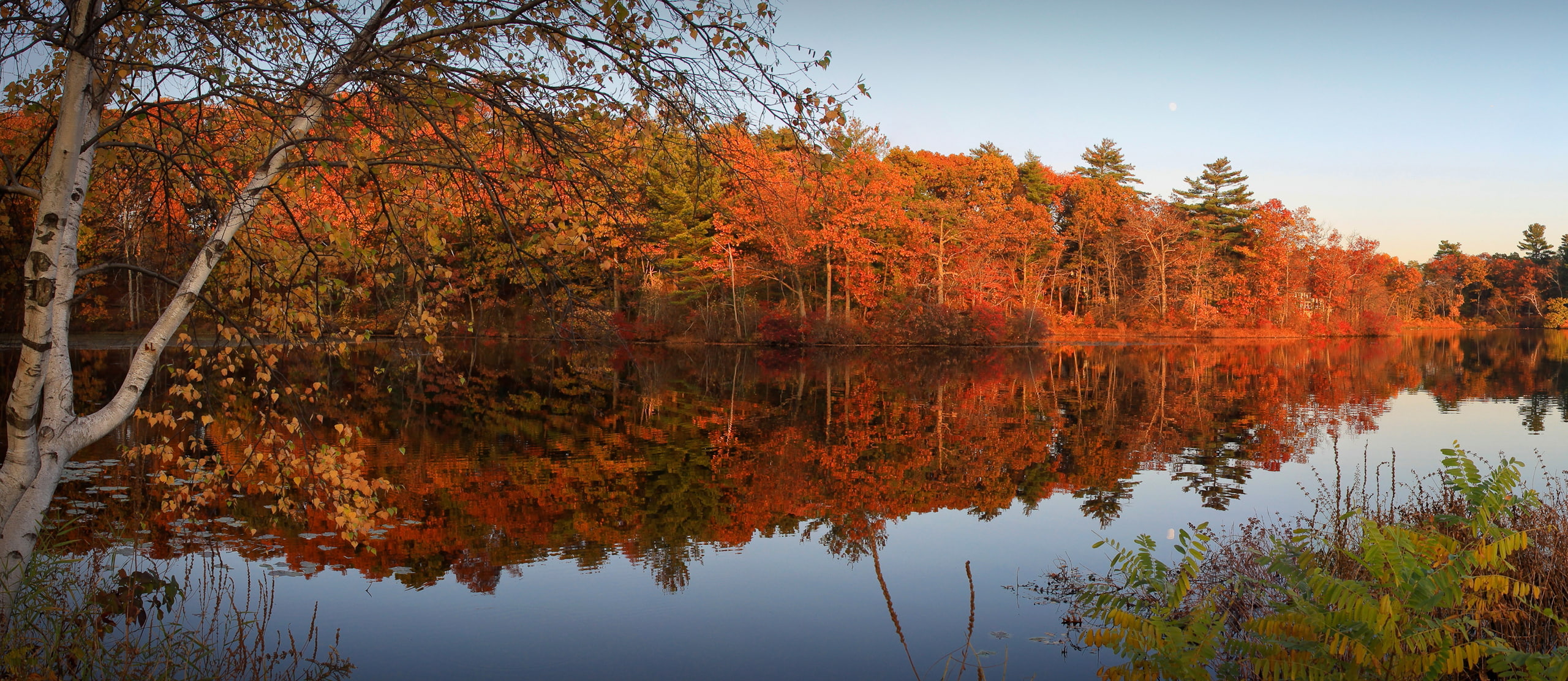 the sky, forest, the crimson, autumn, the evening, river, trees, 2K, leaves, HD Wallpaper