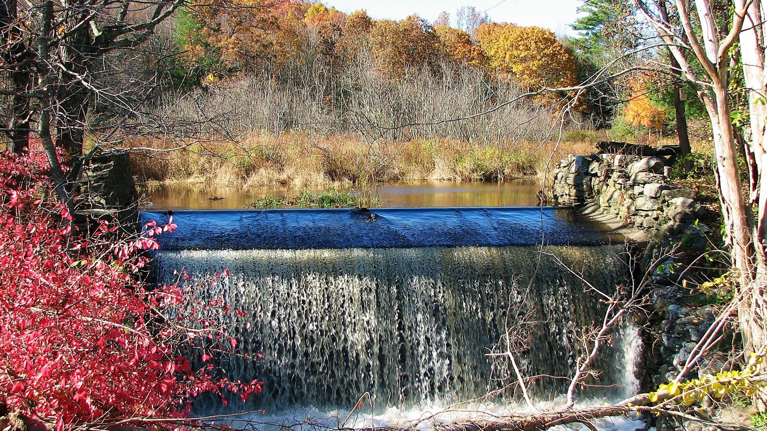 2K, trees, forest, waterfall, river, dam, leaves, autumn, the crimson, the sky, HD Wallpaper