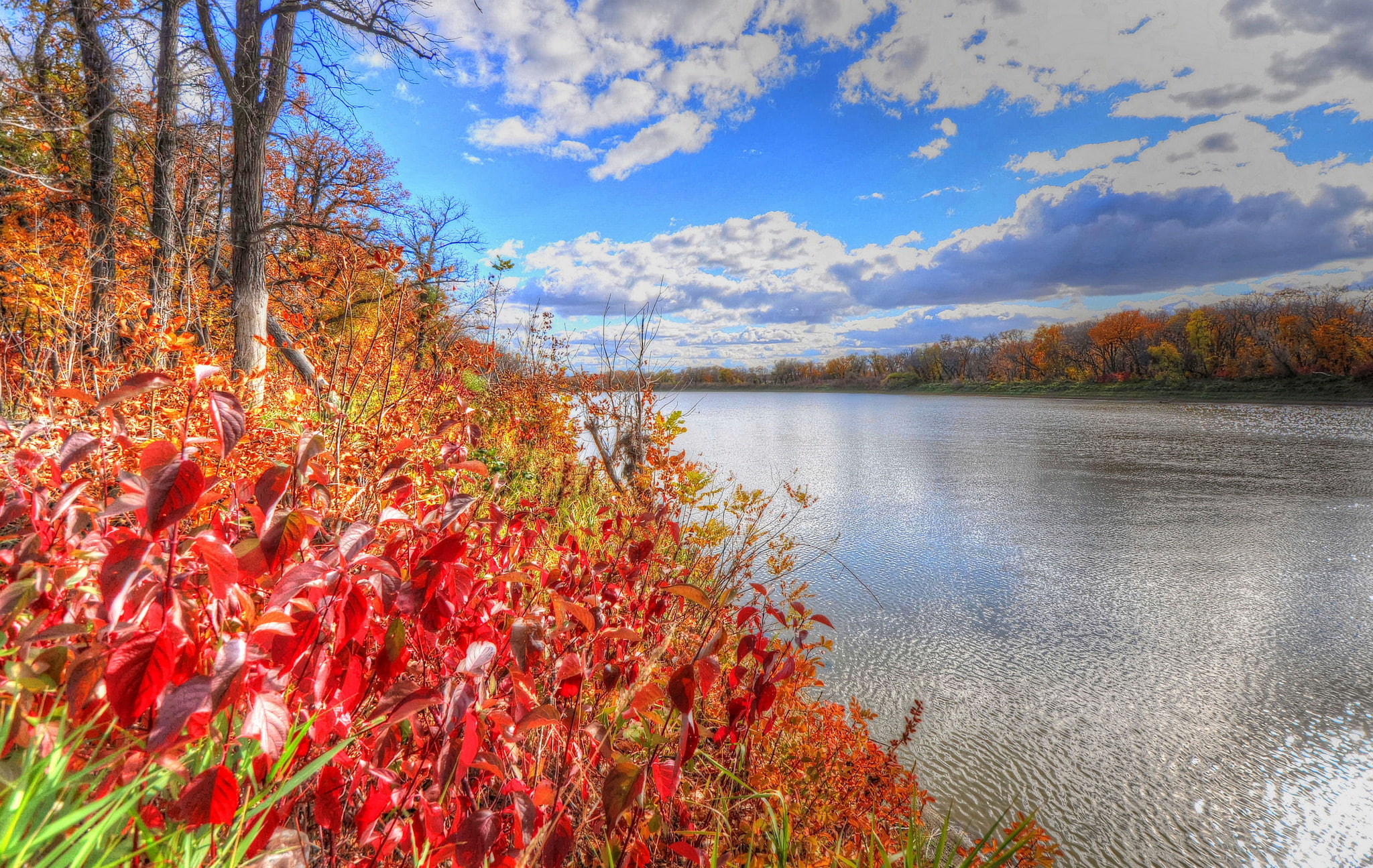 leaves, river, the sky, autumn, 1080P, trees, forest, the crimson, HD Wallpaper