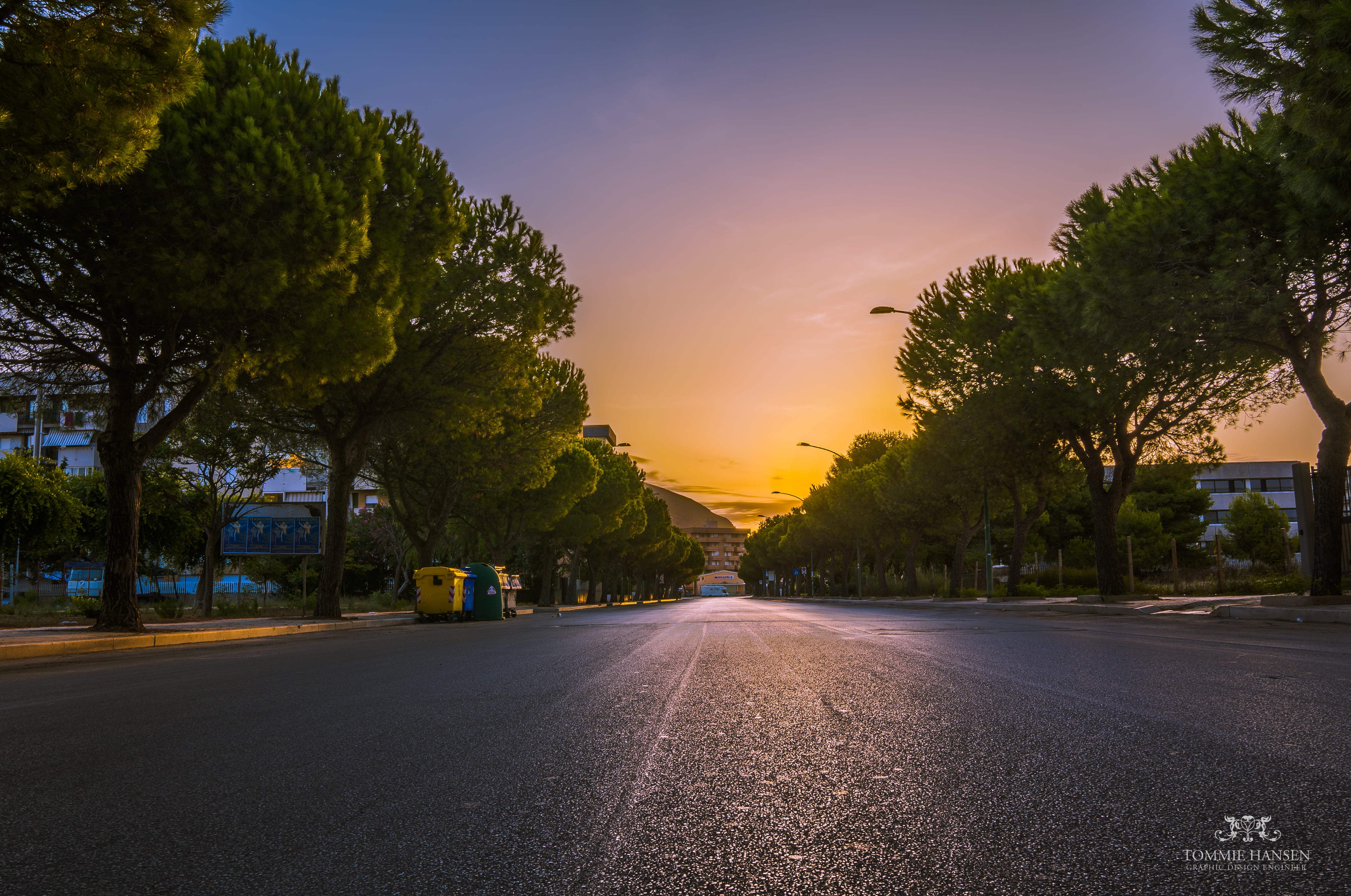NEX 6, traffic, Urban, Sicilia, asphalt, West, dusk, Sicily, gray, trees, Trapani, Street, Italy, Fall, road, sunset, tree, outdoors, Landscape, 4K, Travel, HD Wallpaper
