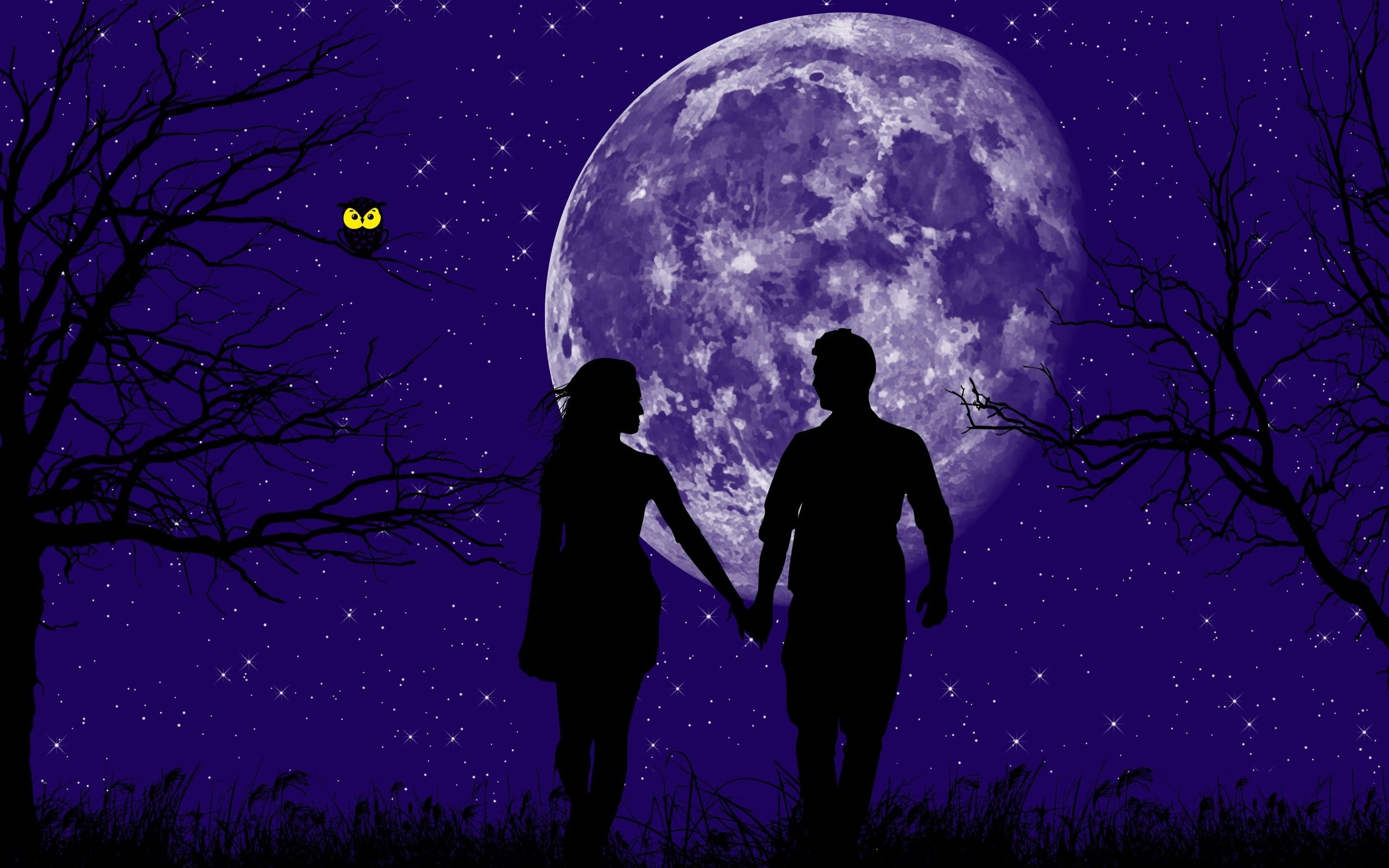 в двоем, magic night, взвшись за руки, trees, a man and a woman, 2K, planet, stars, инные миры, love, owl, HD Wallpaper