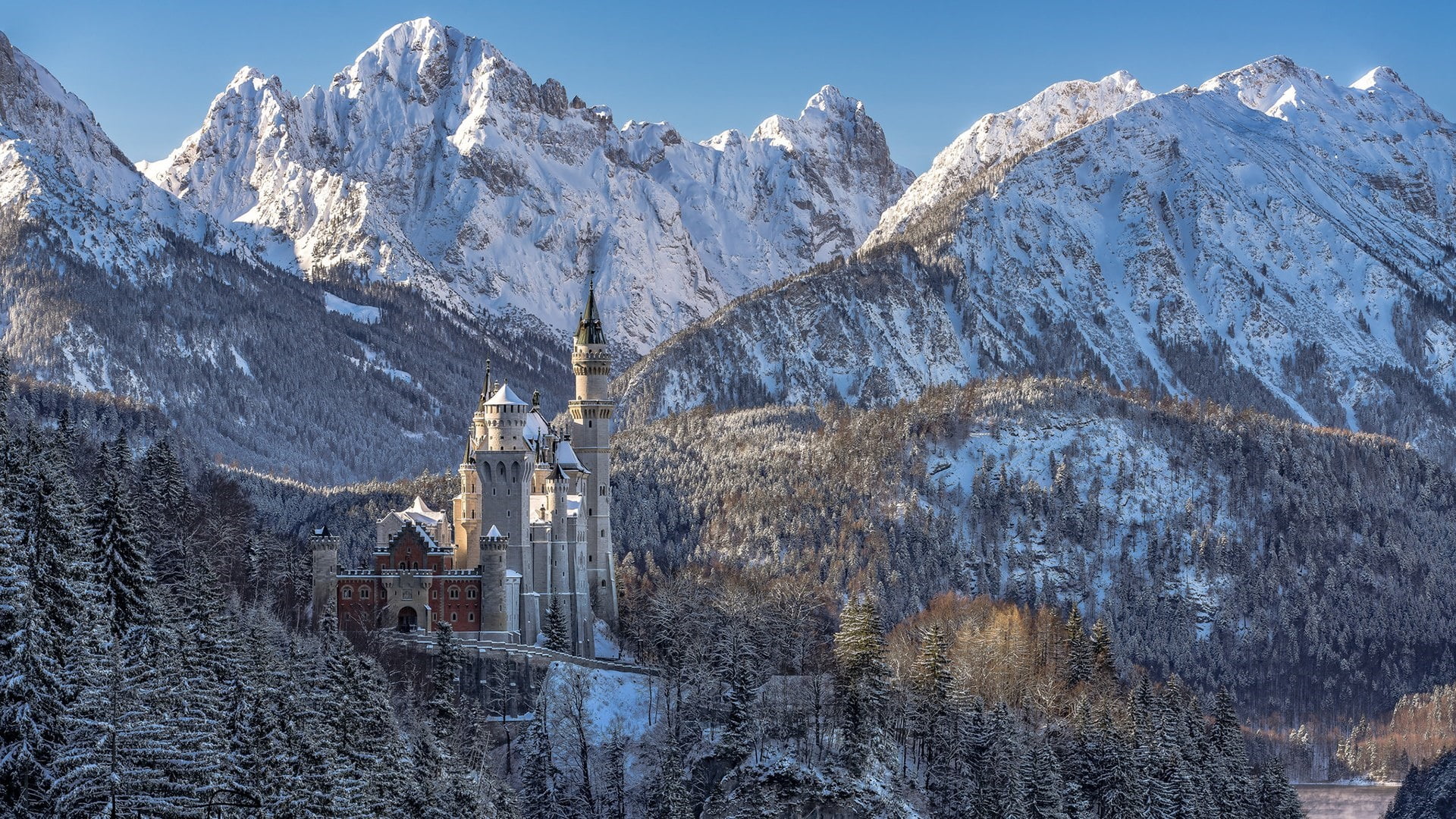 winter, building, castle, day, bavarian alps, building exterior, plant, cold temperature, tree, outdoors, sky, mountain, no people, snowcapped mountain, HD Wallpaper